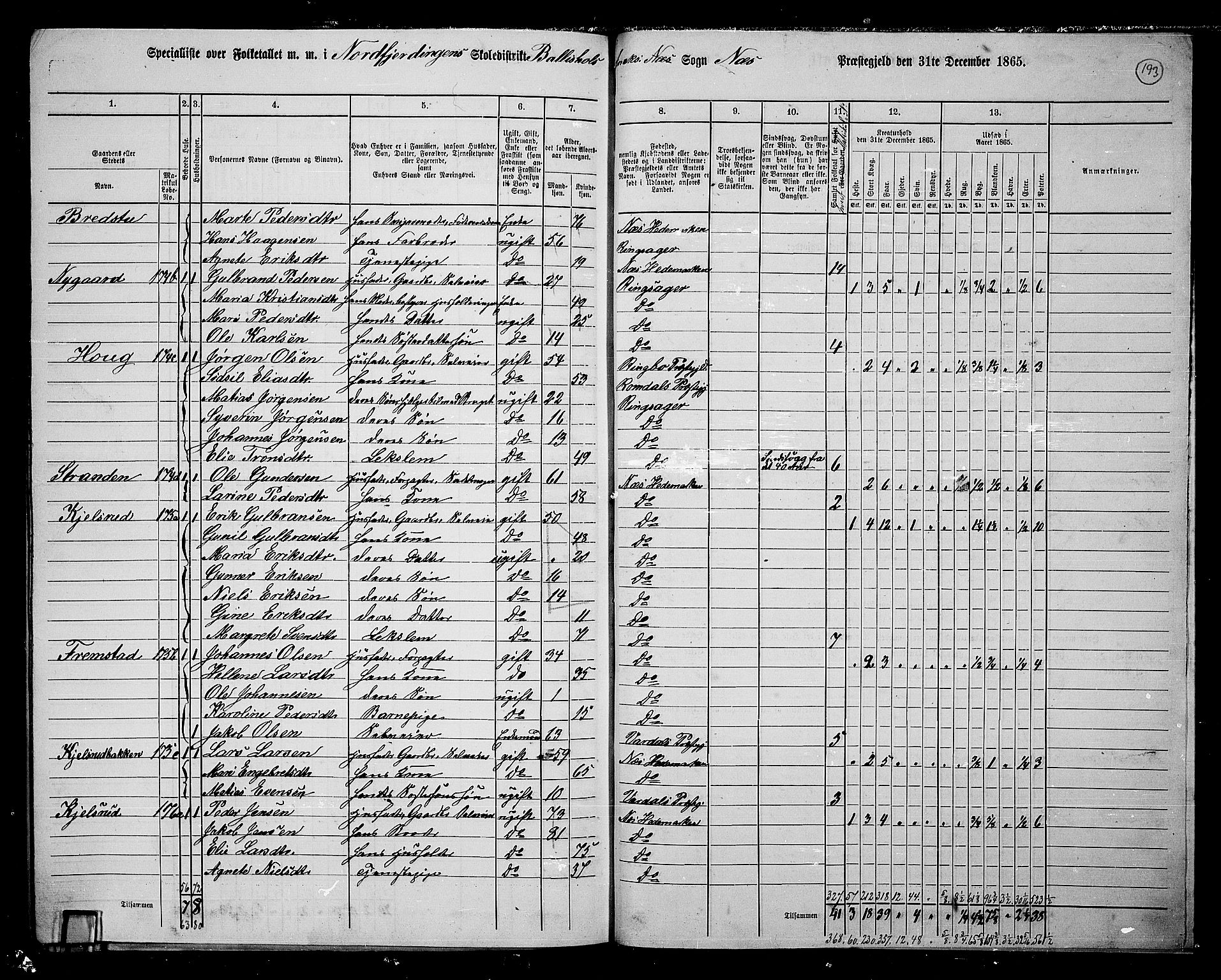 RA, 1865 census for Nes, 1865, p. 167