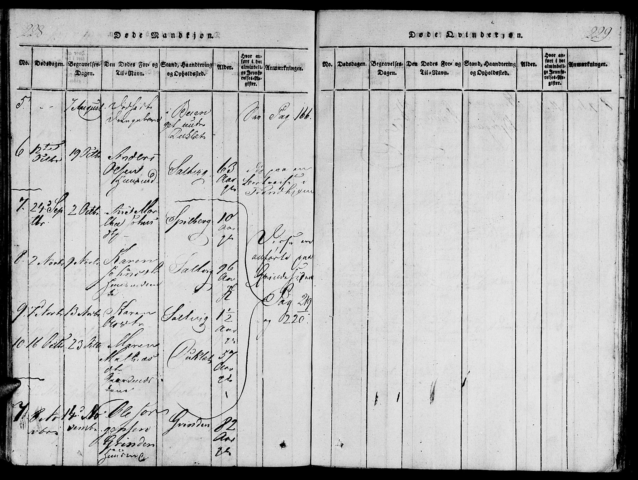 Ministerialprotokoller, klokkerbøker og fødselsregistre - Nord-Trøndelag, SAT/A-1458/733/L0322: Parish register (official) no. 733A01, 1817-1842, p. 228-229