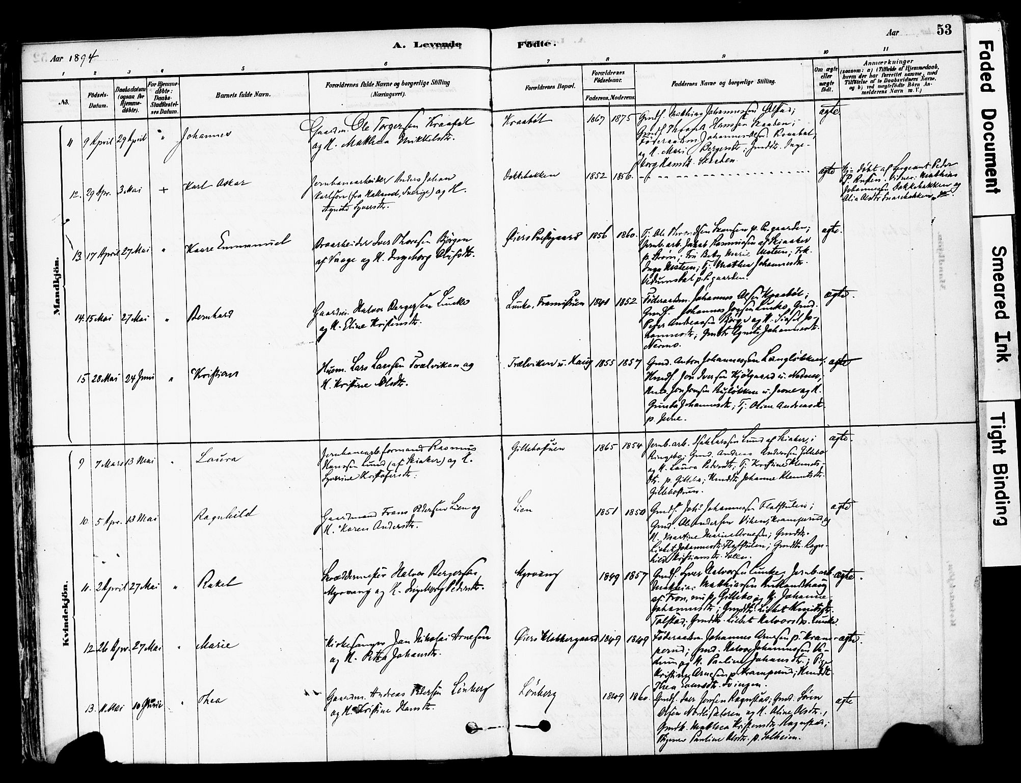 Øyer prestekontor, AV/SAH-PREST-084/H/Ha/Haa/L0008: Parish register (official) no. 8, 1878-1897, p. 53