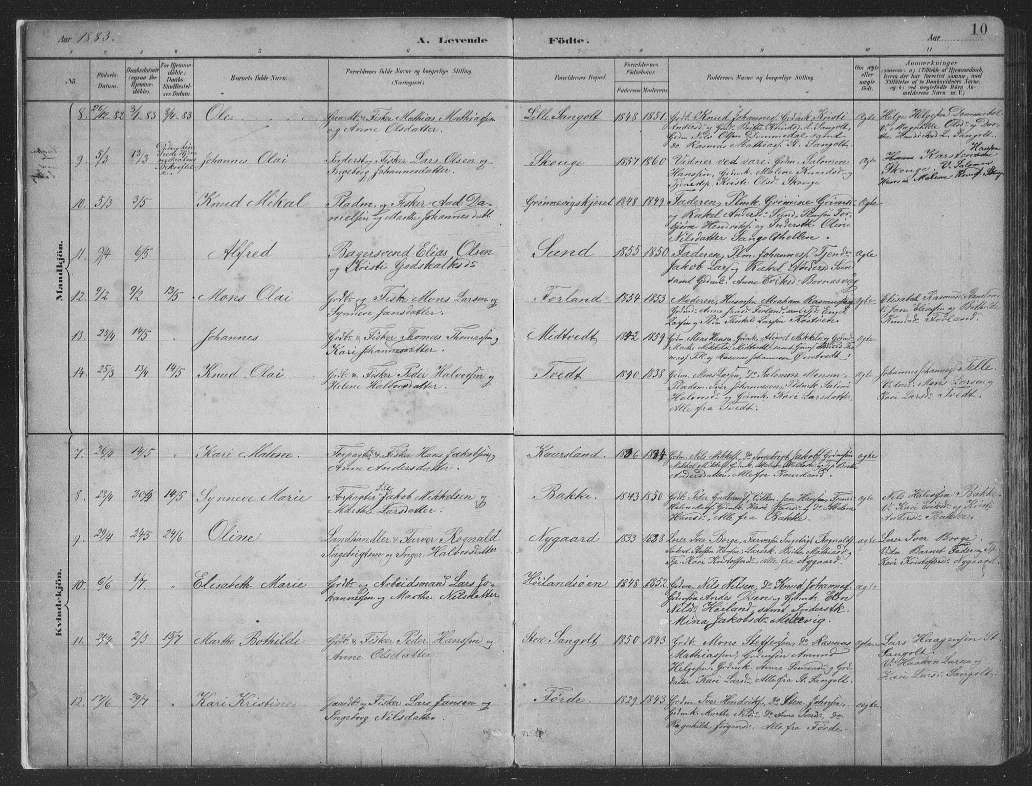 Sund sokneprestembete, SAB/A-99930: Parish register (copy) no. B 3, 1882-1911, p. 10