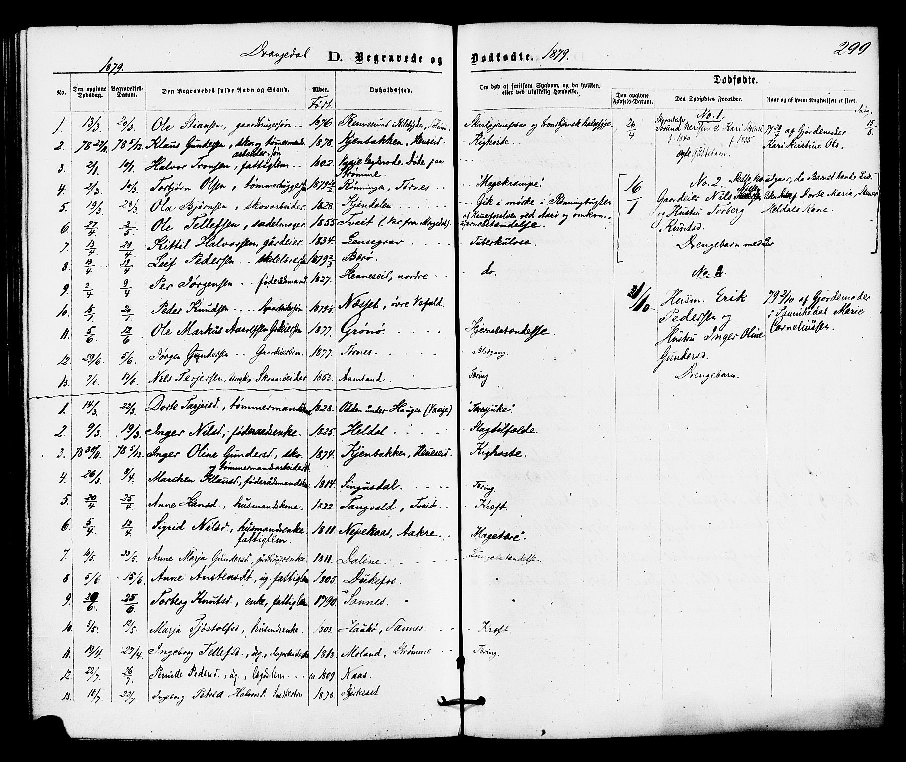 Drangedal kirkebøker, SAKO/A-258/F/Fa/L0009: Parish register (official) no. 9 /1, 1872-1884, p. 299