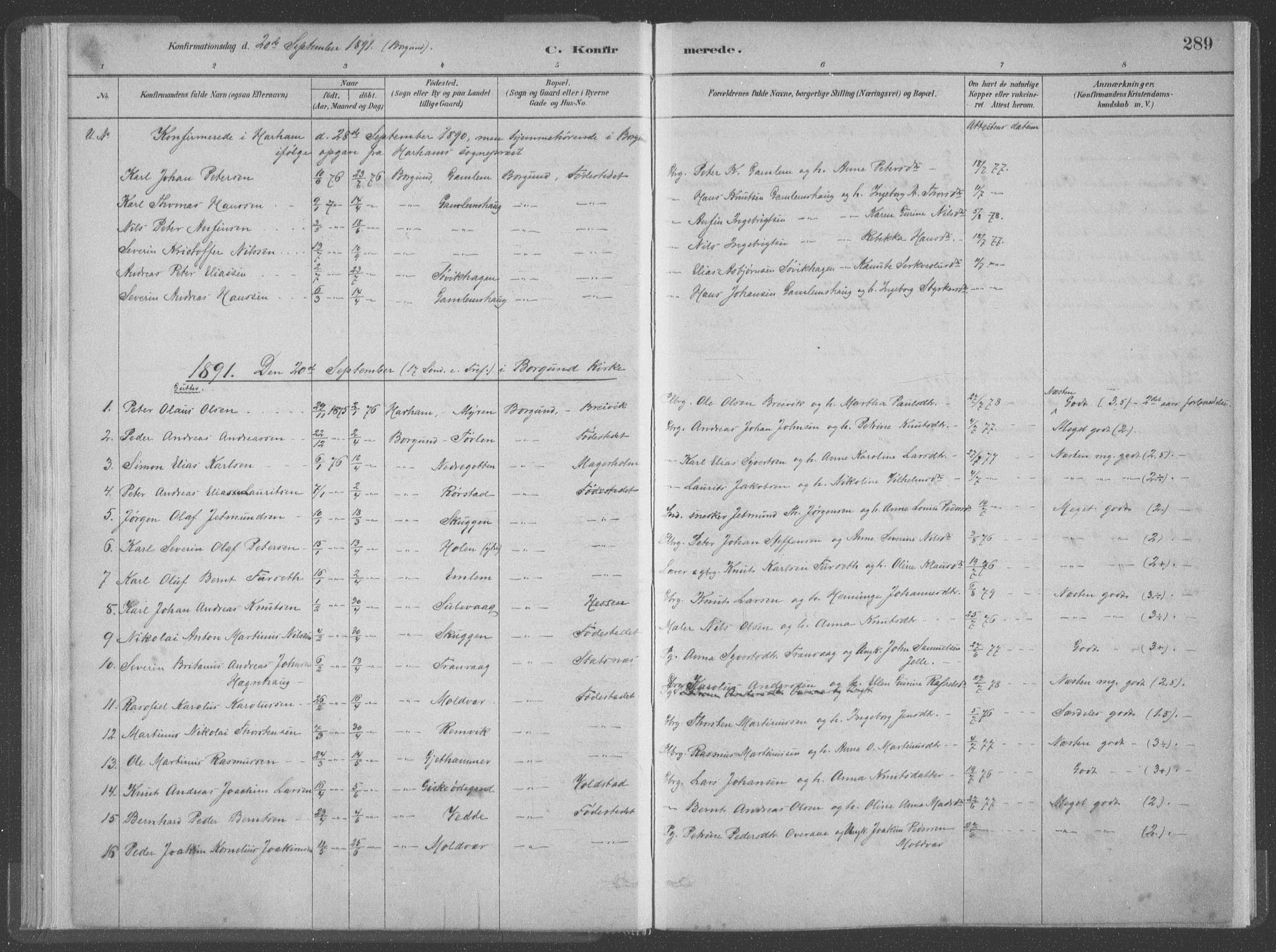 Ministerialprotokoller, klokkerbøker og fødselsregistre - Møre og Romsdal, AV/SAT-A-1454/528/L0402: Parish register (official) no. 528A12II, 1880-1903, p. 289