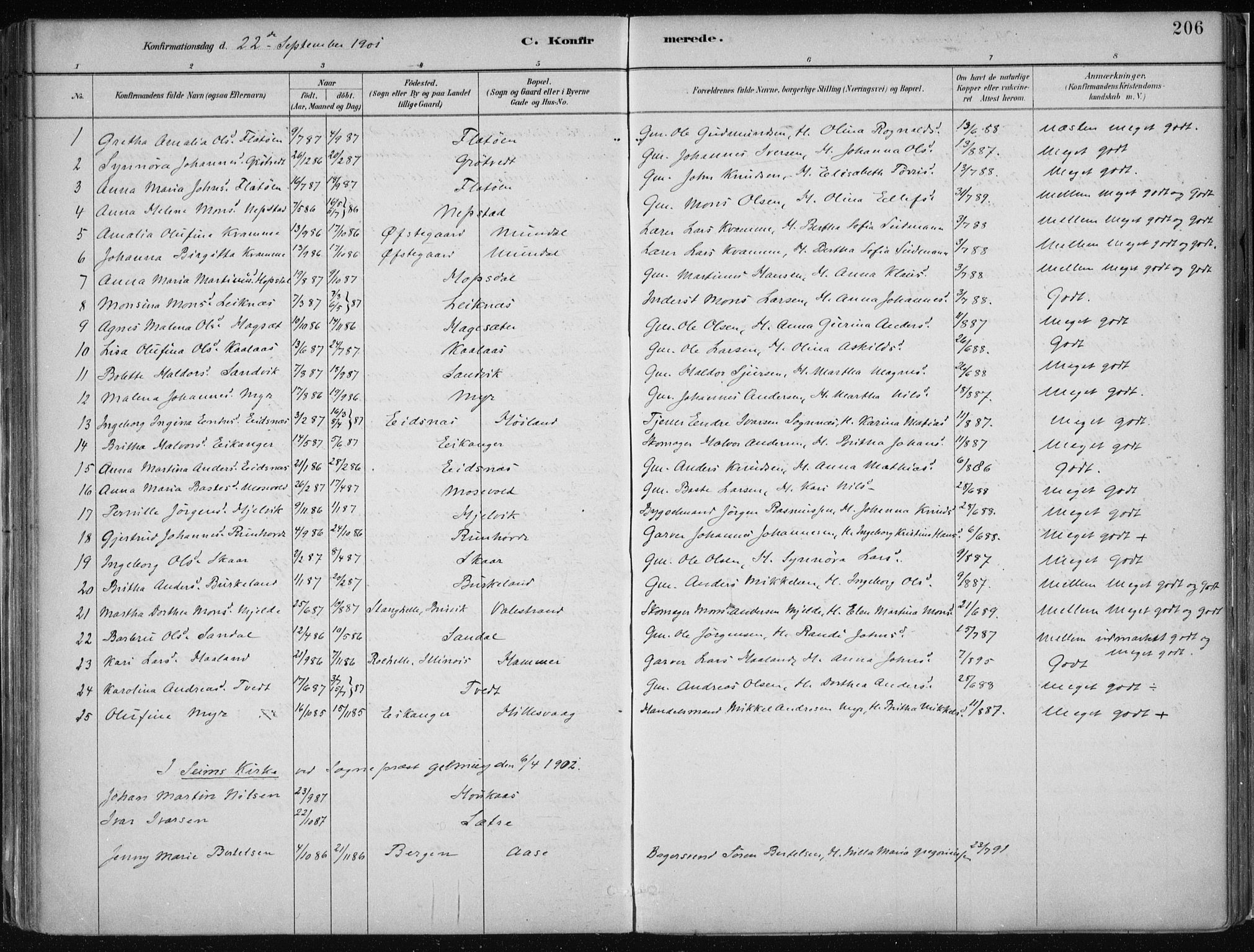 Hamre sokneprestembete, SAB/A-75501/H/Ha/Haa/Haab/L0001: Parish register (official) no. B  1, 1882-1905, p. 206