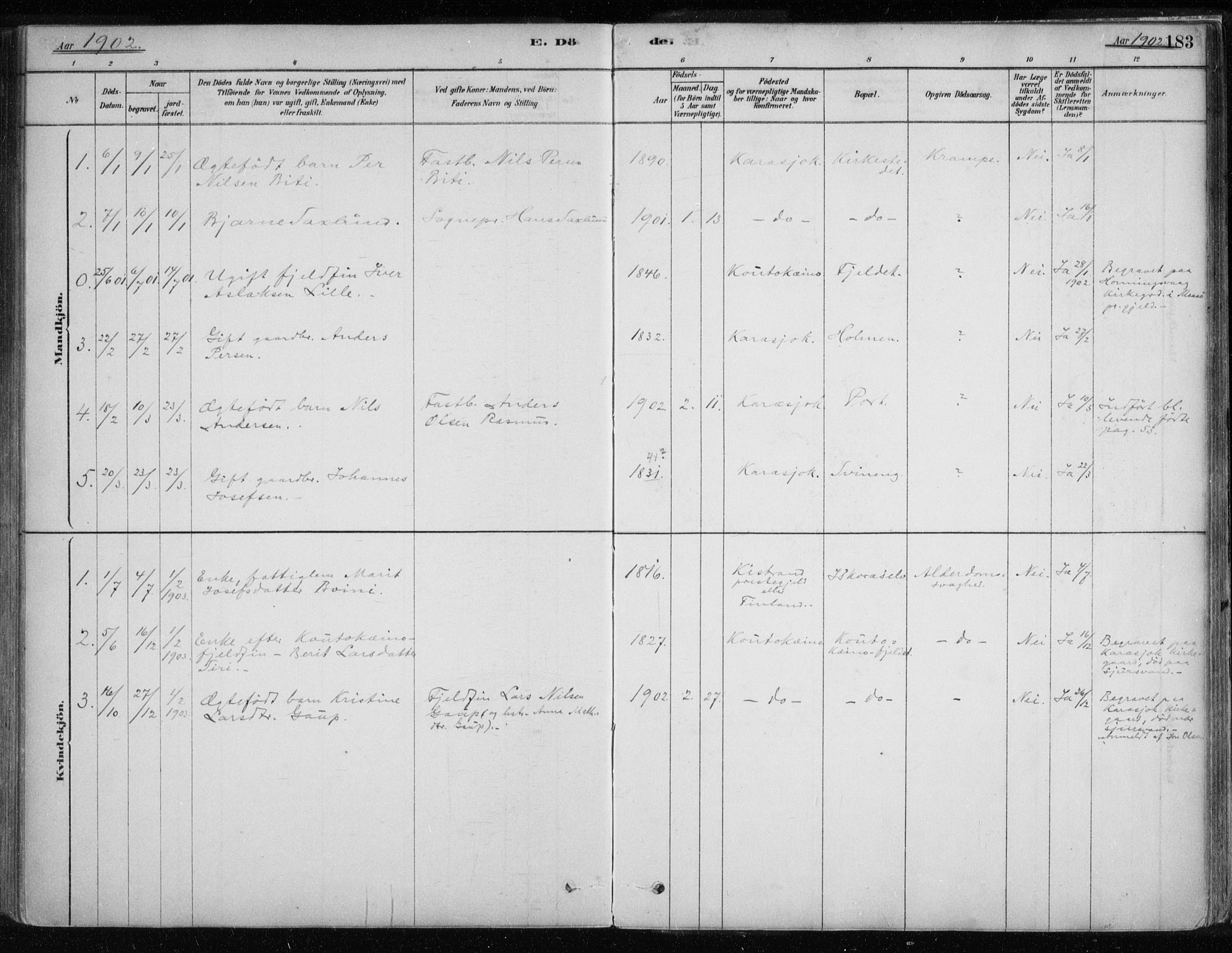 Karasjok sokneprestkontor, SATØ/S-1352/H/Ha/L0002kirke: Parish register (official) no. 2, 1885-1906, p. 183