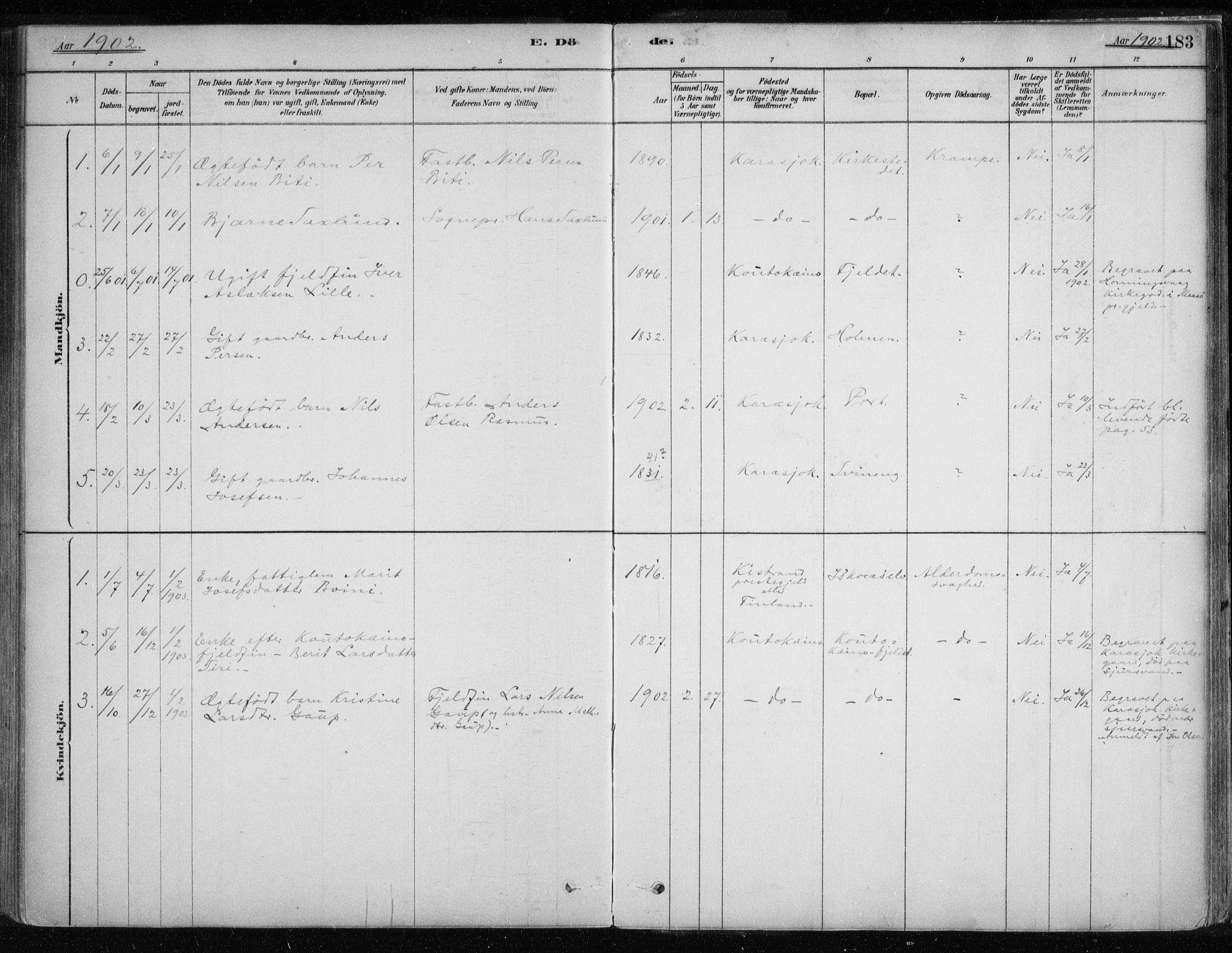 Karasjok sokneprestkontor, AV/SATØ-S-1352/H/Ha/L0002kirke: Parish register (official) no. 2, 1885-1906, p. 183