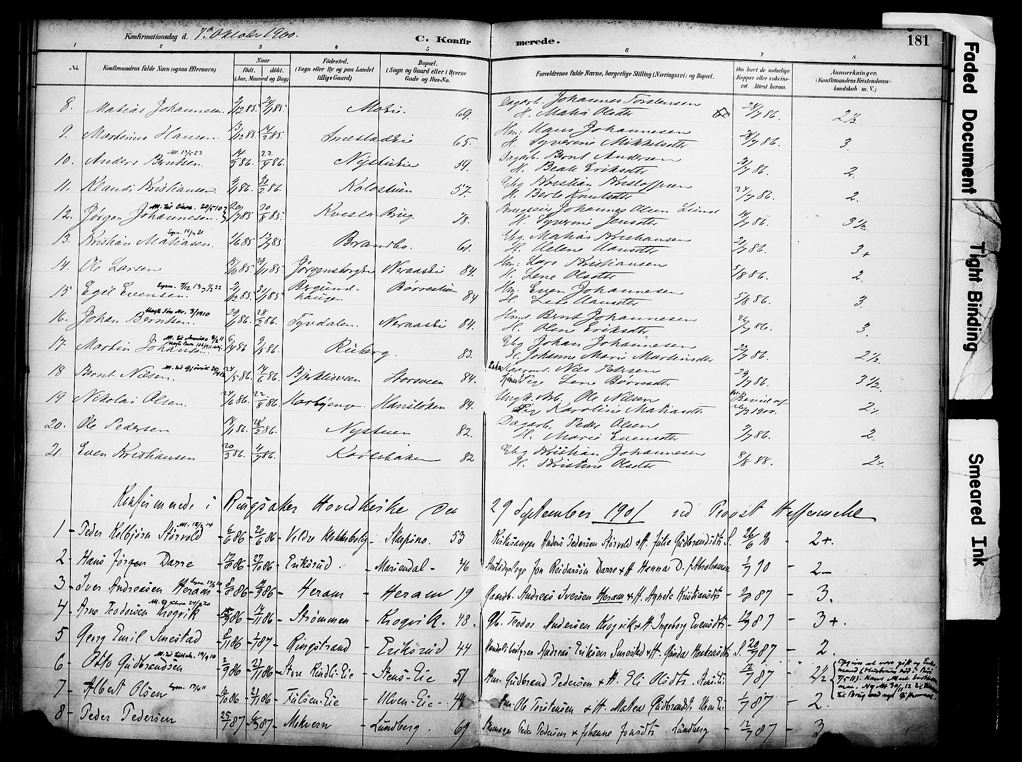 Ringsaker prestekontor, AV/SAH-PREST-014/K/Ka/L0017: Parish register (official) no. 17, 1891-1902, p. 181