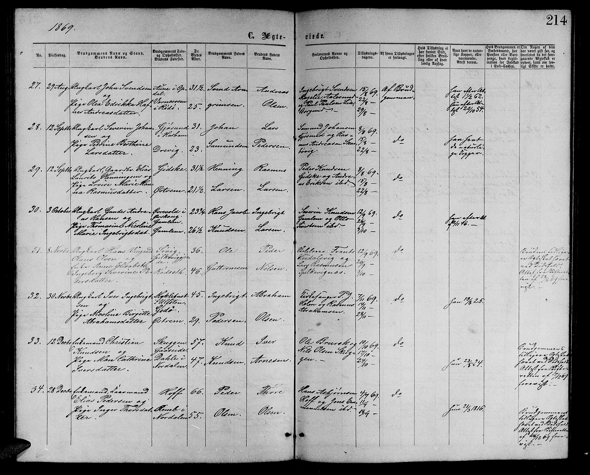 Ministerialprotokoller, klokkerbøker og fødselsregistre - Møre og Romsdal, AV/SAT-A-1454/528/L0428: Parish register (copy) no. 528C09, 1864-1880, p. 214