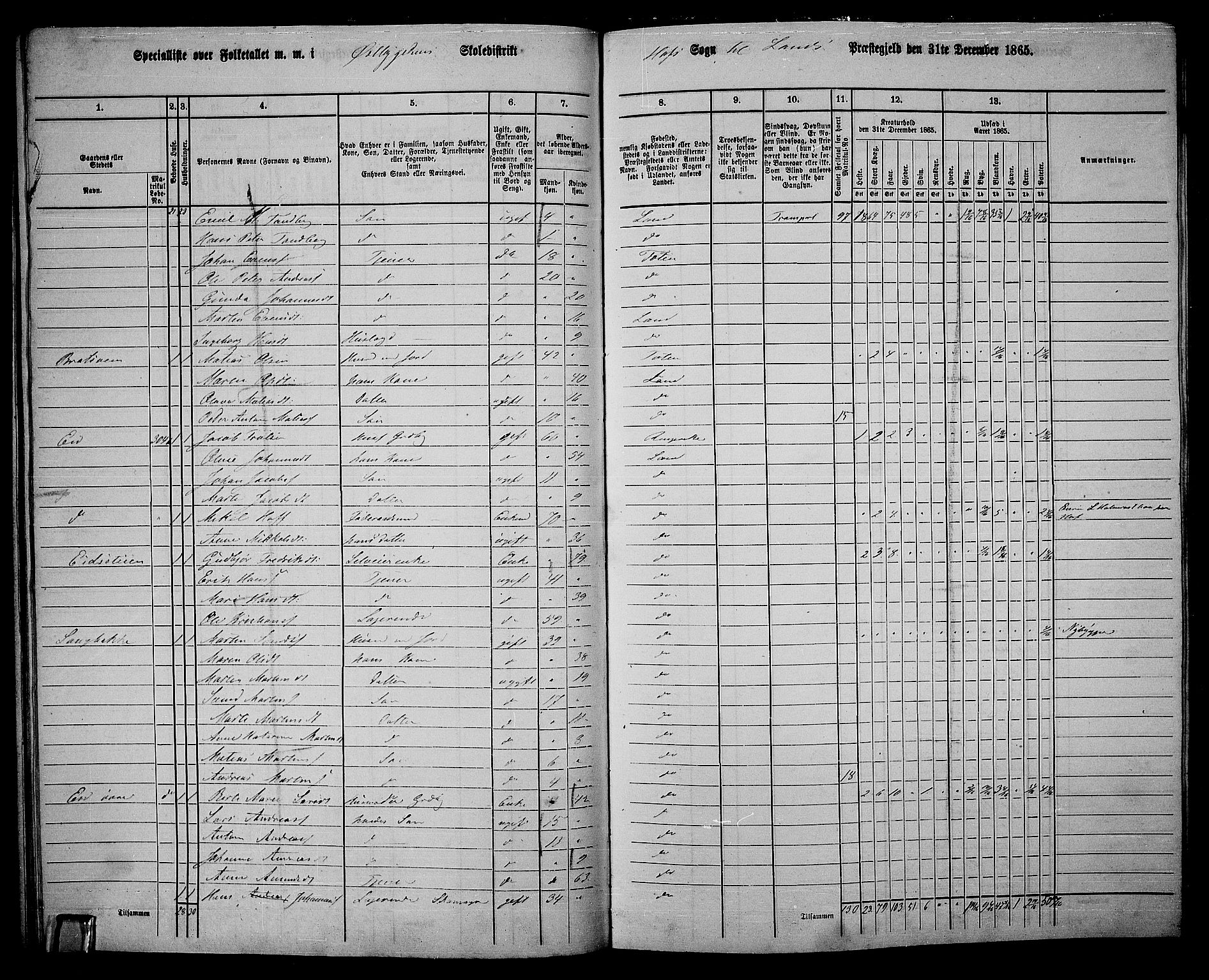 RA, 1865 census for Land, 1865, p. 333