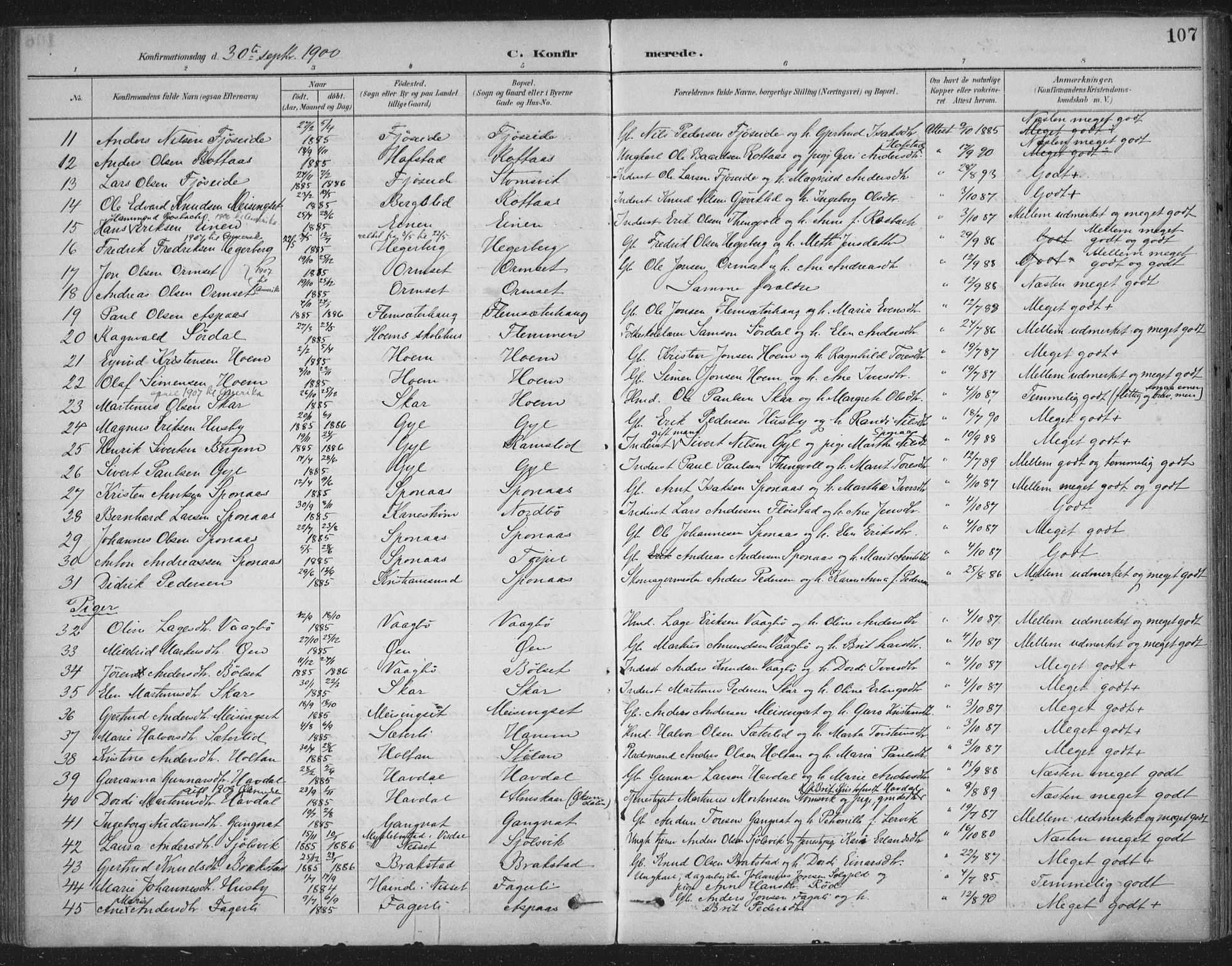 Ministerialprotokoller, klokkerbøker og fødselsregistre - Møre og Romsdal, AV/SAT-A-1454/586/L0988: Parish register (official) no. 586A14, 1893-1905, p. 107