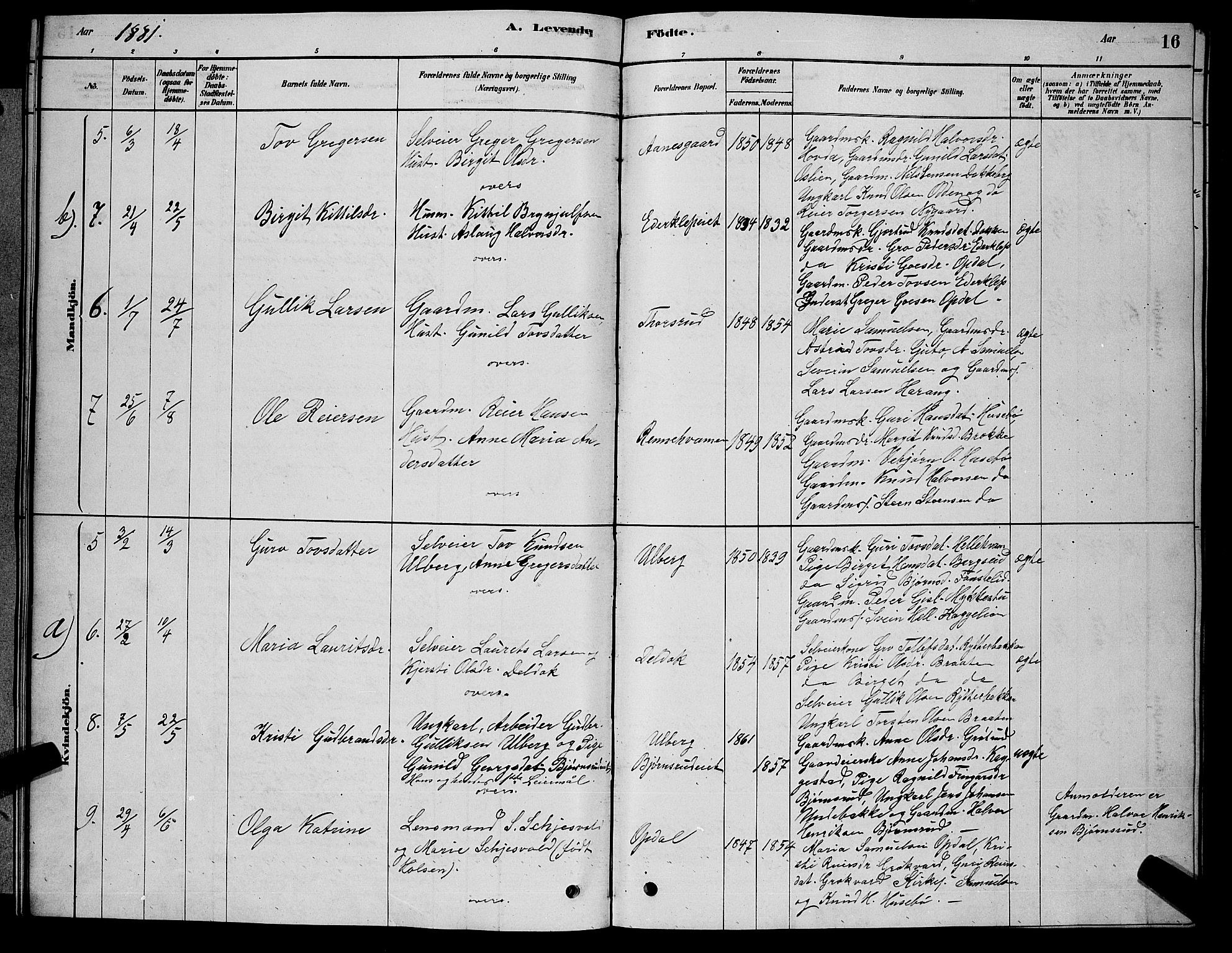 Nore kirkebøker, SAKO/A-238/G/Gb/L0002: Parish register (copy) no. II 2, 1878-1894, p. 16