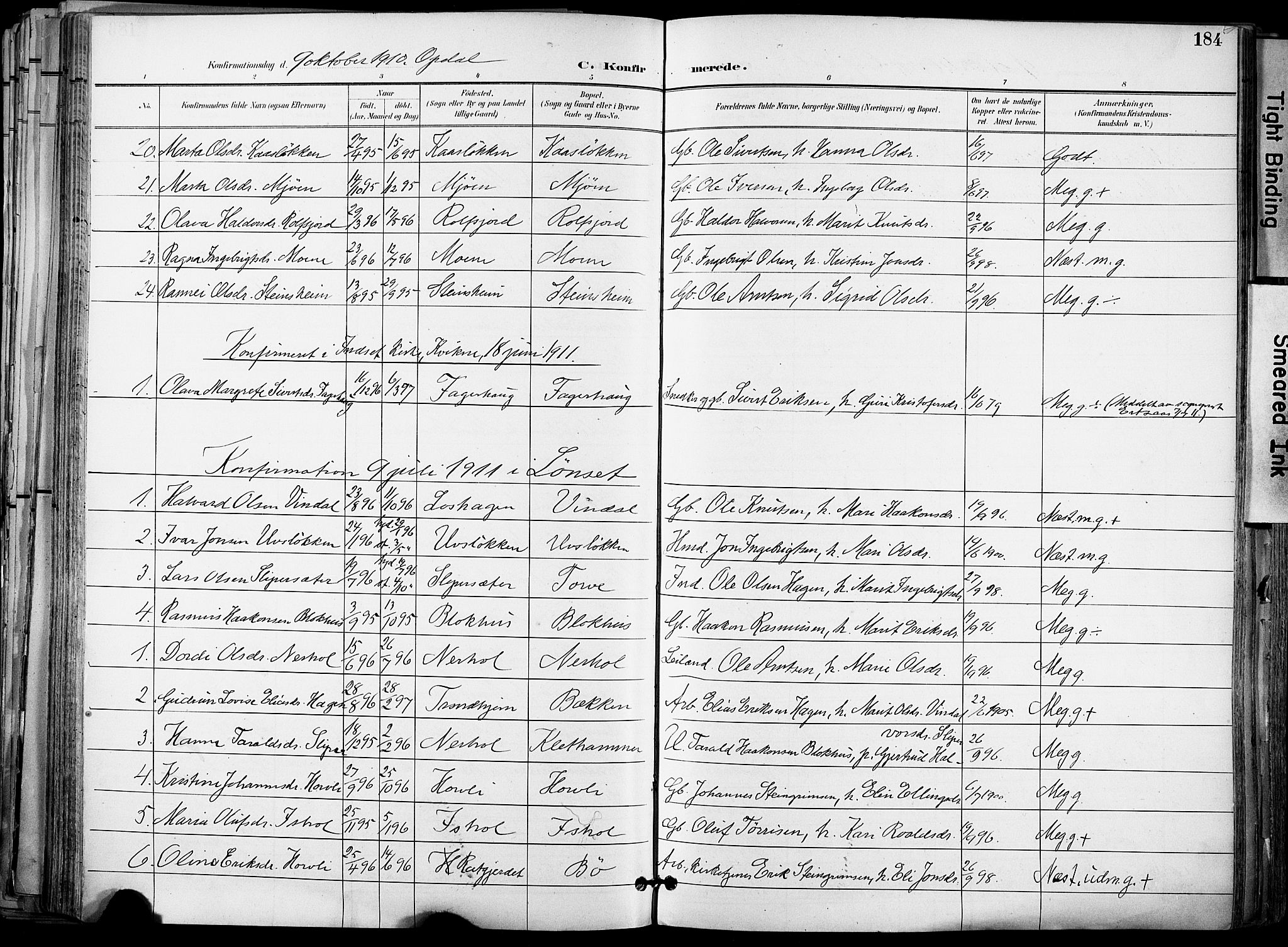 Ministerialprotokoller, klokkerbøker og fødselsregistre - Sør-Trøndelag, SAT/A-1456/678/L0902: Parish register (official) no. 678A11, 1895-1911, p. 184