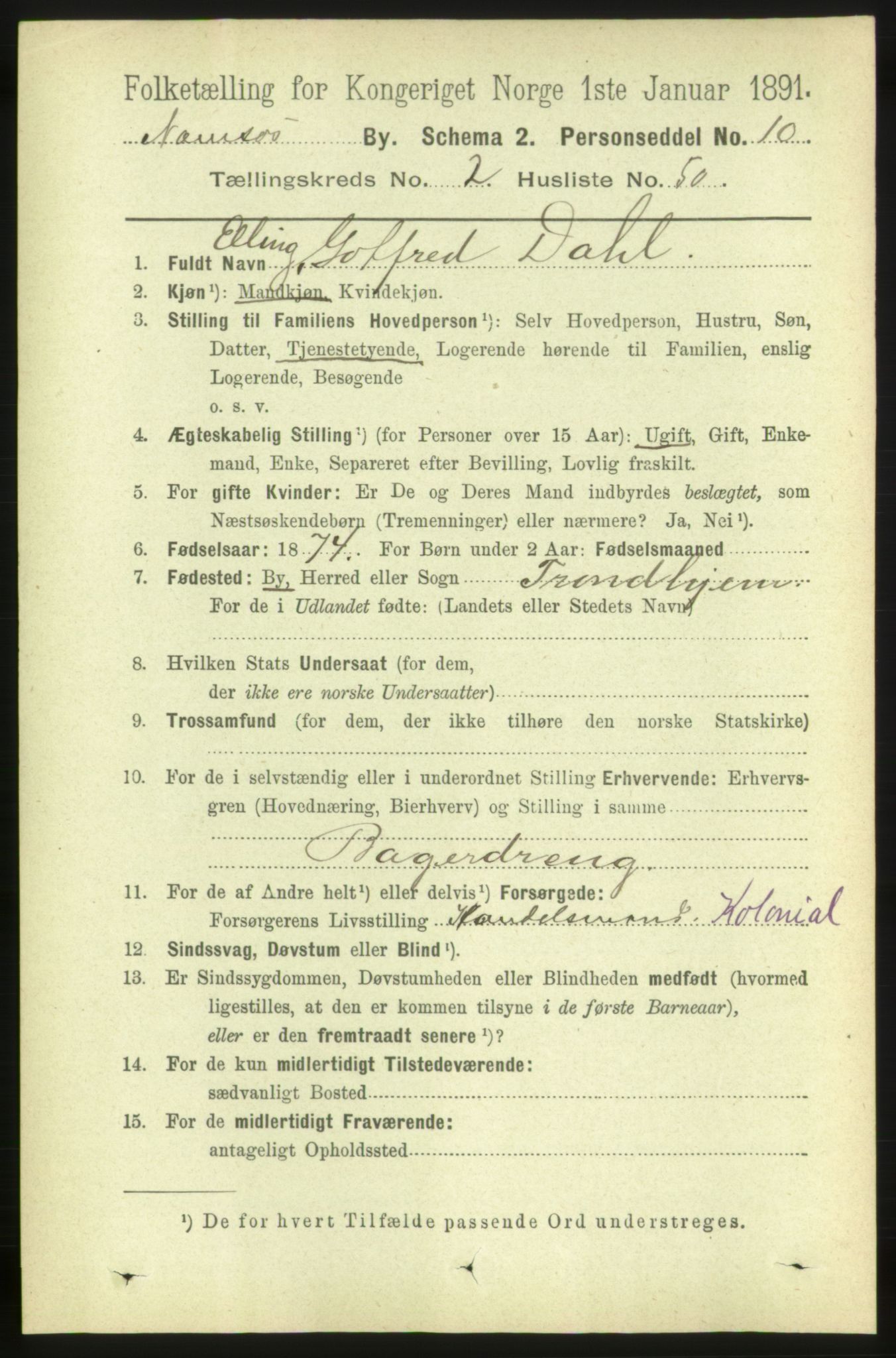 RA, 1891 census for 1703 Namsos, 1891, p. 1081