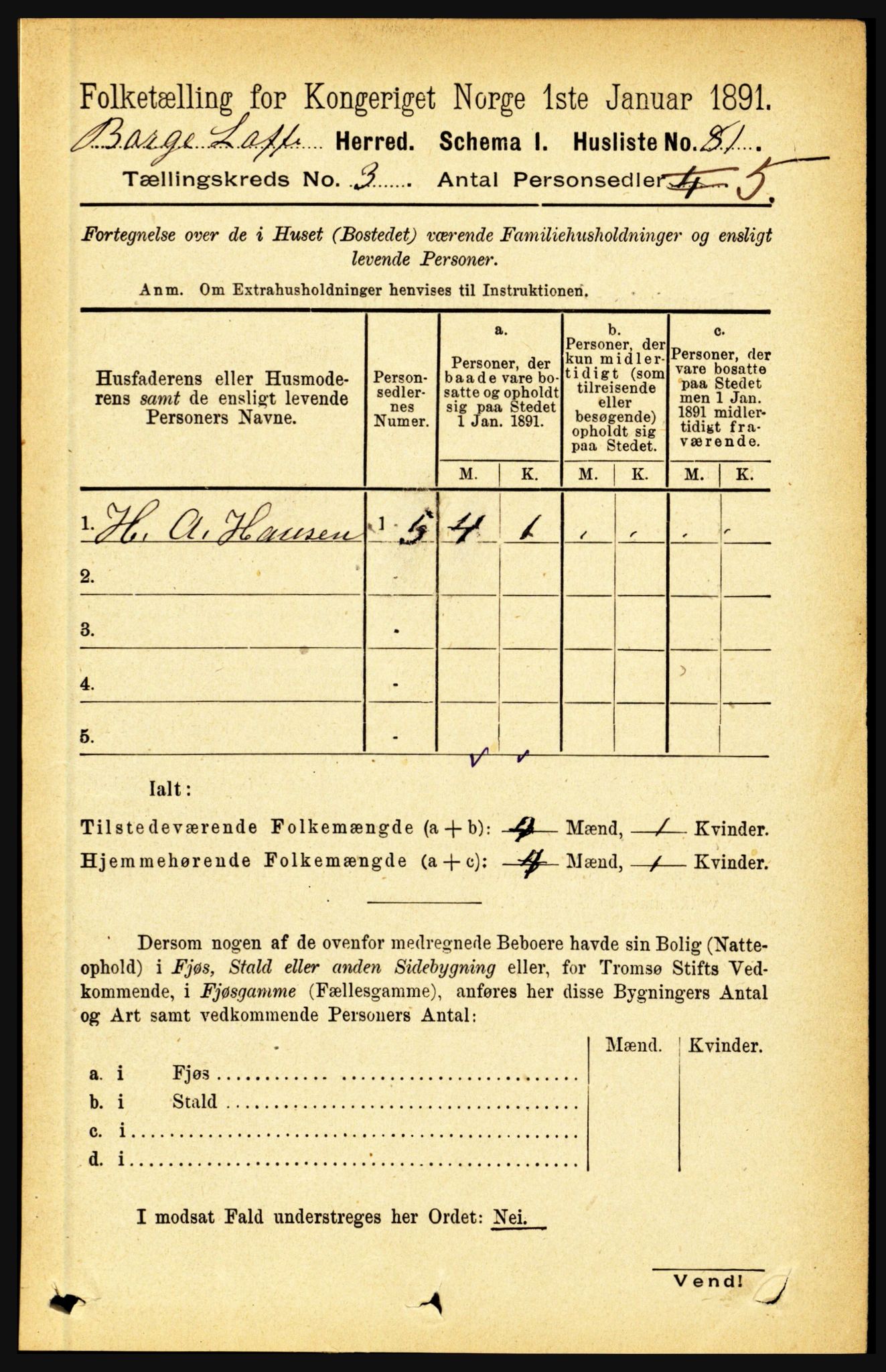 RA, 1891 census for 1862 Borge, 1891, p. 1543