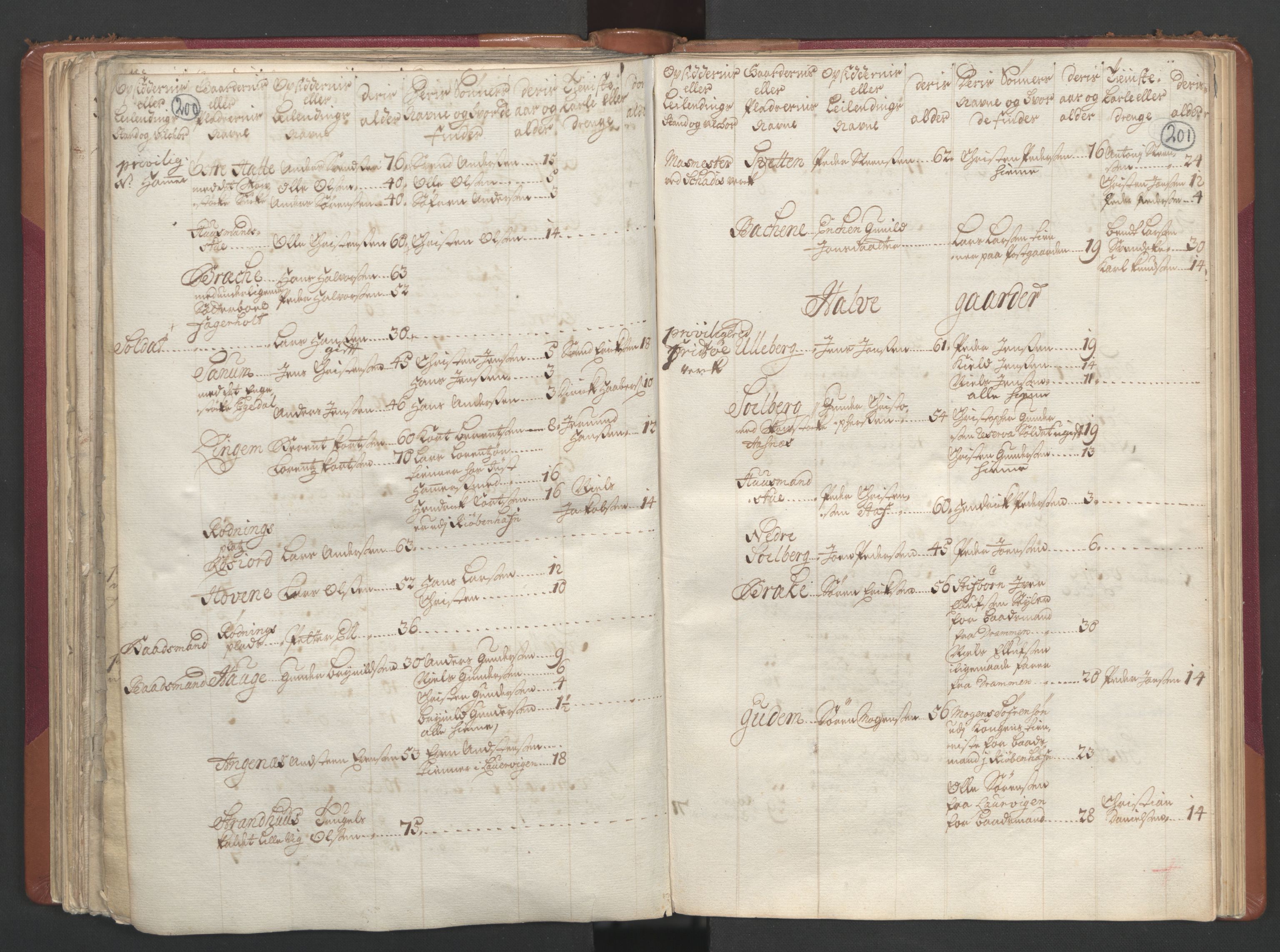 RA, Census (manntall) 1701, no. 2: Solør, Odal og Østerdal fogderi and Larvik grevskap, 1701, p. 200-201