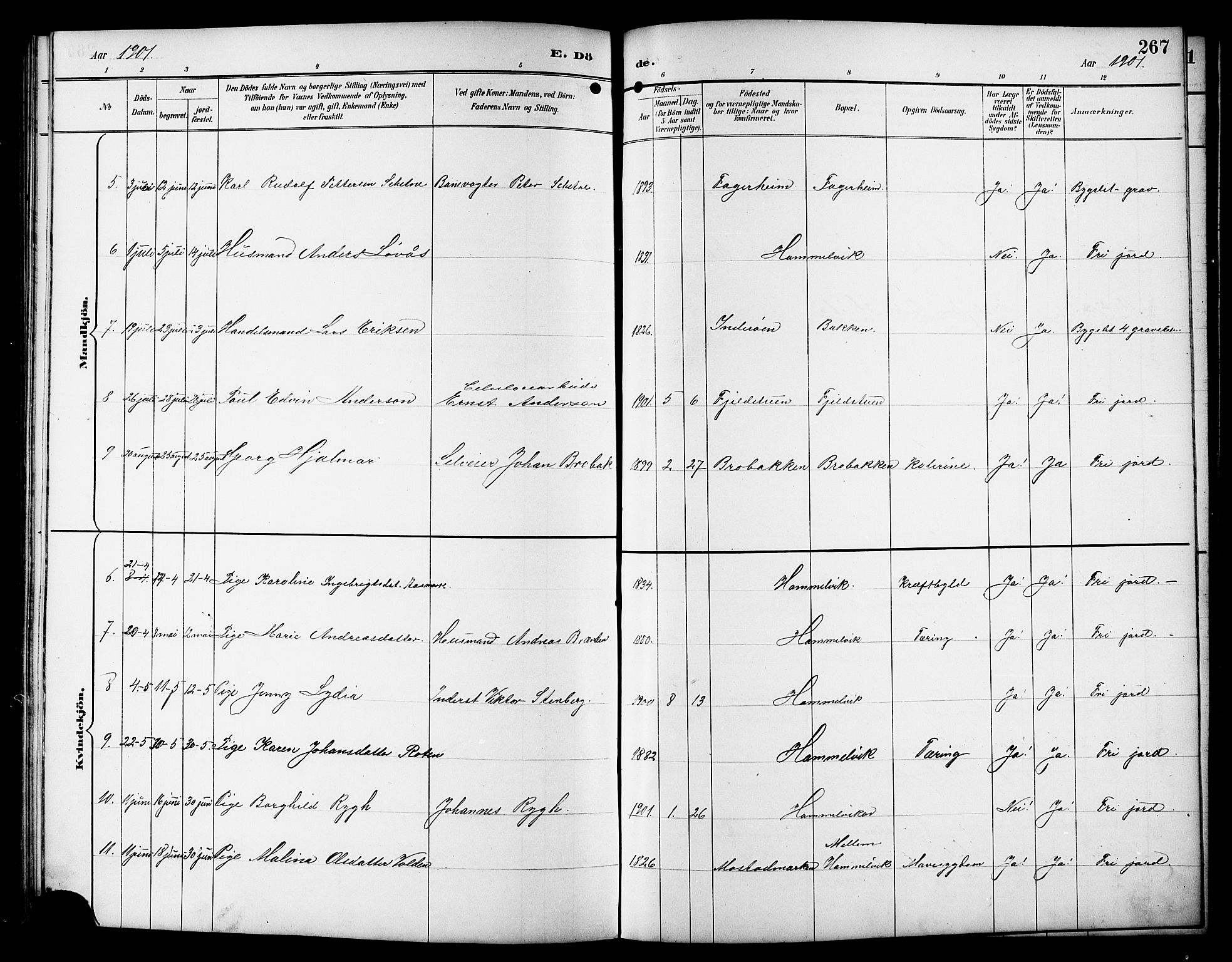 Ministerialprotokoller, klokkerbøker og fødselsregistre - Sør-Trøndelag, SAT/A-1456/617/L0431: Parish register (copy) no. 617C01, 1889-1910, p. 267