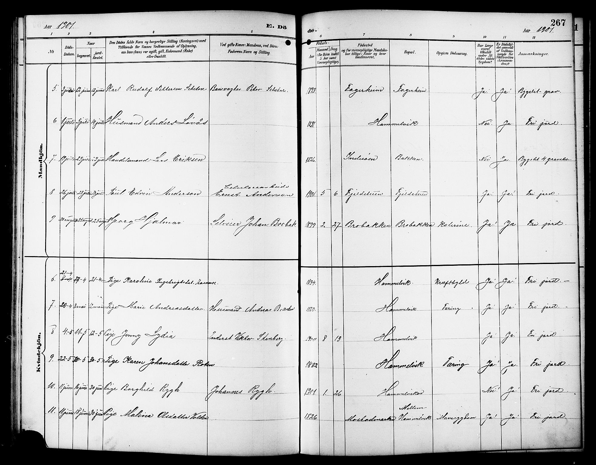 Ministerialprotokoller, klokkerbøker og fødselsregistre - Sør-Trøndelag, AV/SAT-A-1456/617/L0431: Parish register (copy) no. 617C01, 1889-1910, p. 267