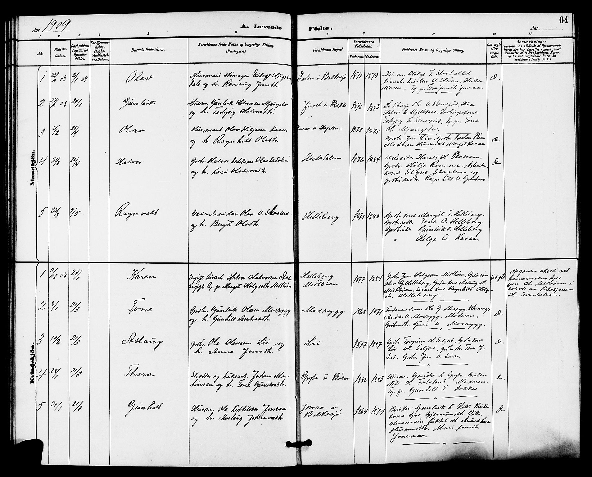Gransherad kirkebøker, SAKO/A-267/G/Ga/L0003: Parish register (copy) no. I 3, 1887-1915, p. 64