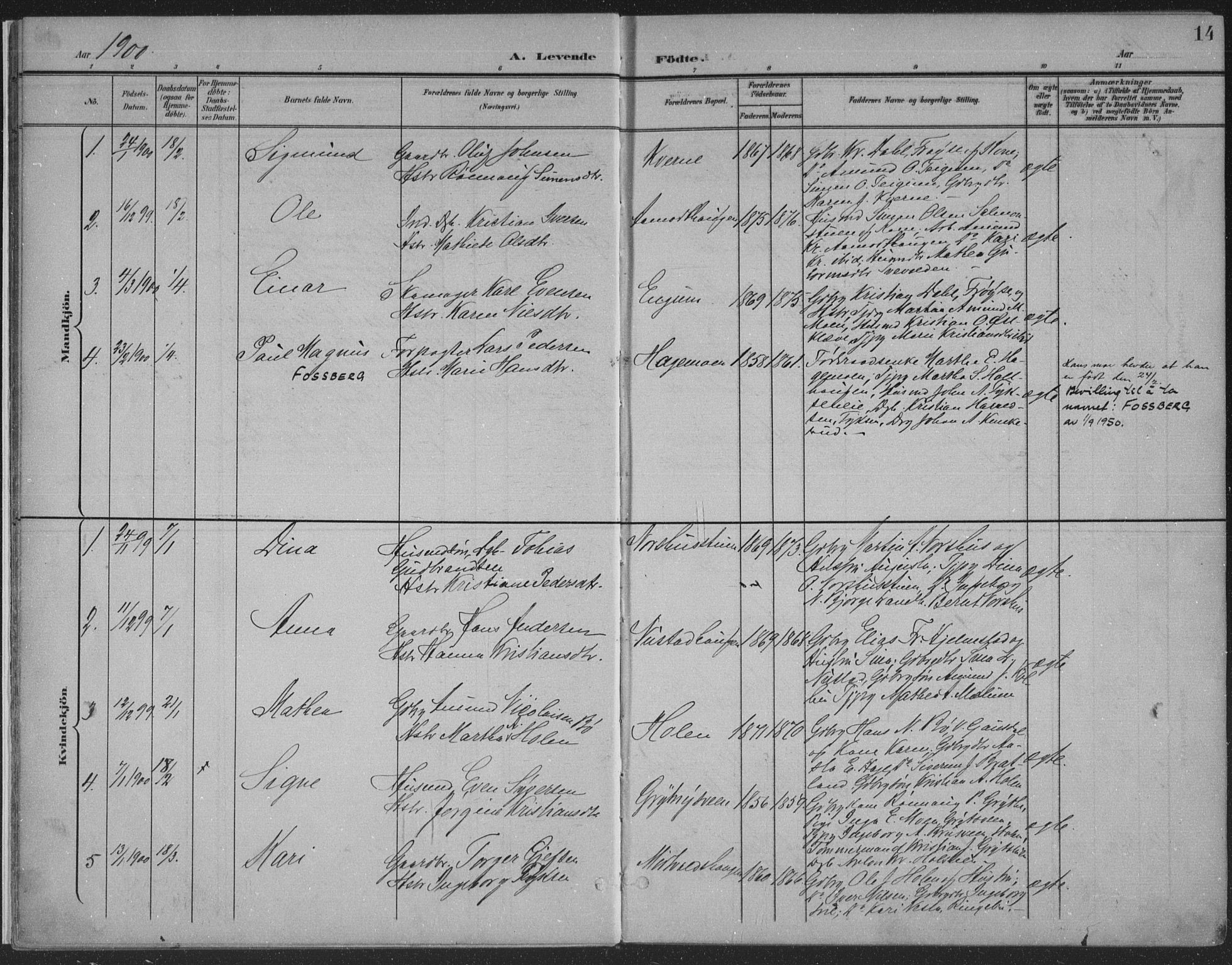 Østre Gausdal prestekontor, SAH/PREST-092/H/Ha/Haa/L0004: Parish register (official) no. 4, 1898-1914, p. 14