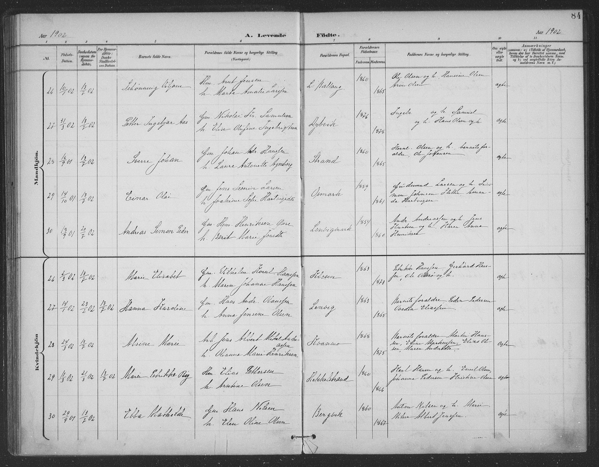 Ministerialprotokoller, klokkerbøker og fødselsregistre - Nordland, AV/SAT-A-1459/863/L0899: Parish register (official) no. 863A11, 1897-1906, p. 84