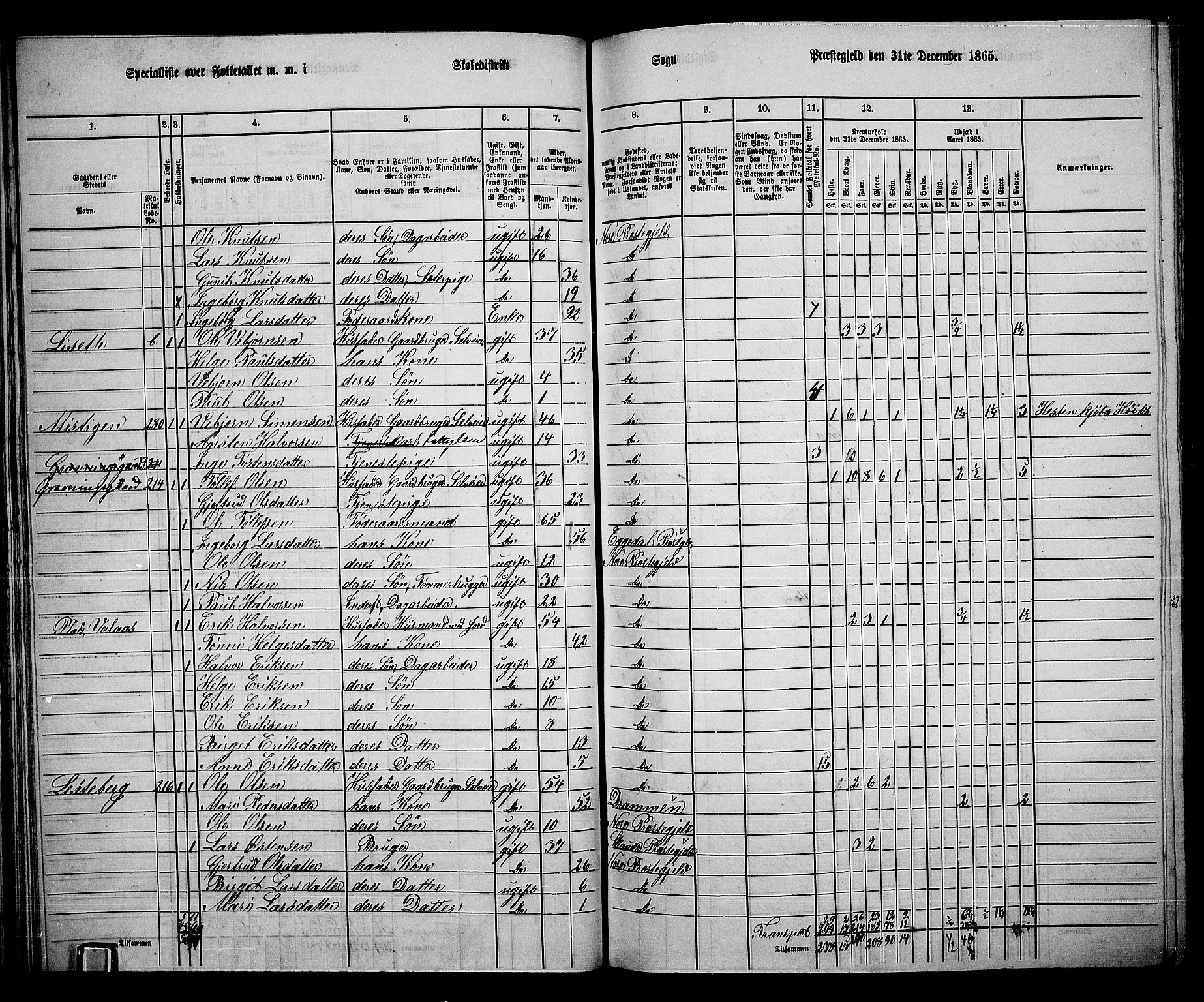 RA, 1865 census for Nore, 1865, p. 38