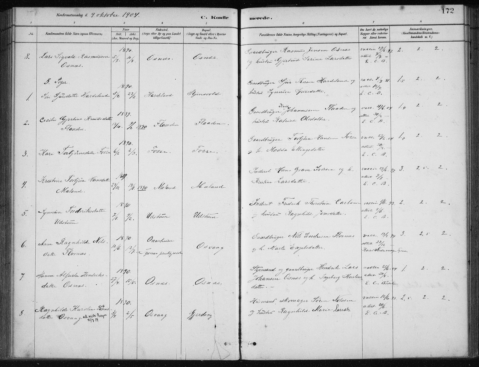 Etne sokneprestembete, AV/SAB-A-75001/H/Haa: Parish register (official) no. C  1, 1879-1919, p. 172