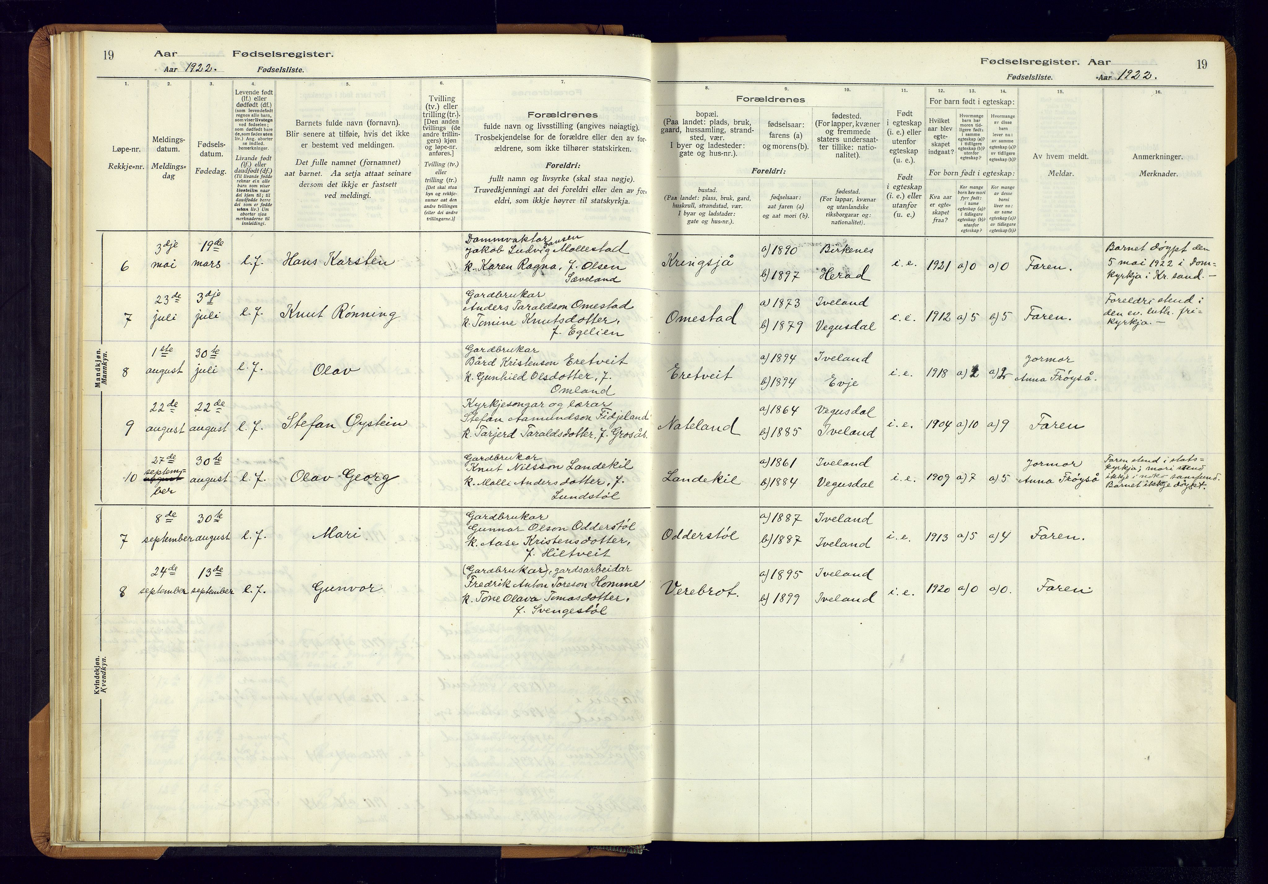 Evje sokneprestkontor, AV/SAK-1111-0008/J/Jc/L0003: Birth register no. II.4.3, 1916-1982, p. 19