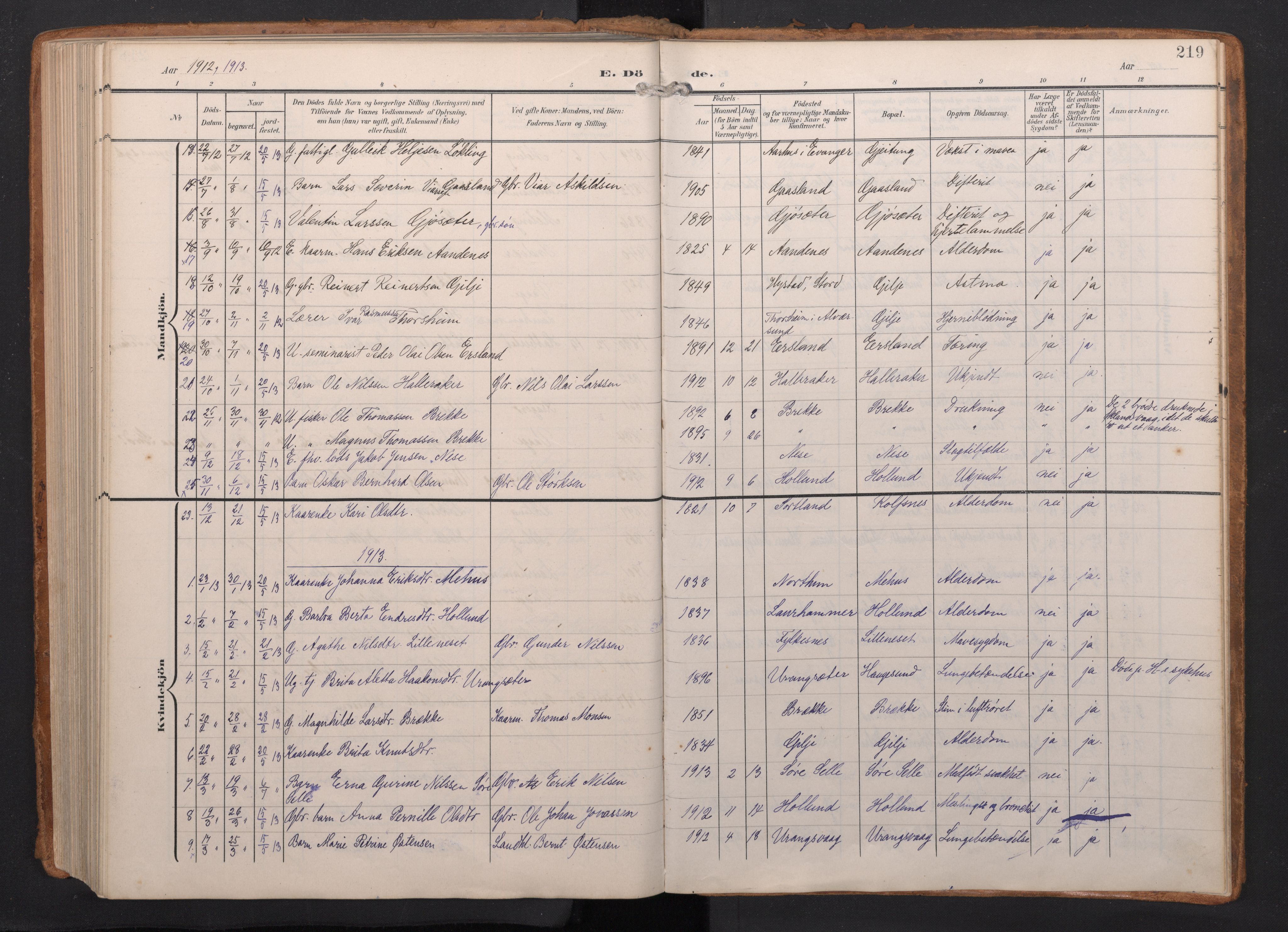 Finnås sokneprestembete, AV/SAB-A-99925/H/Ha/Haa/Haac/L0003: Parish register (official) no. C 3, 1905-1917, p. 219