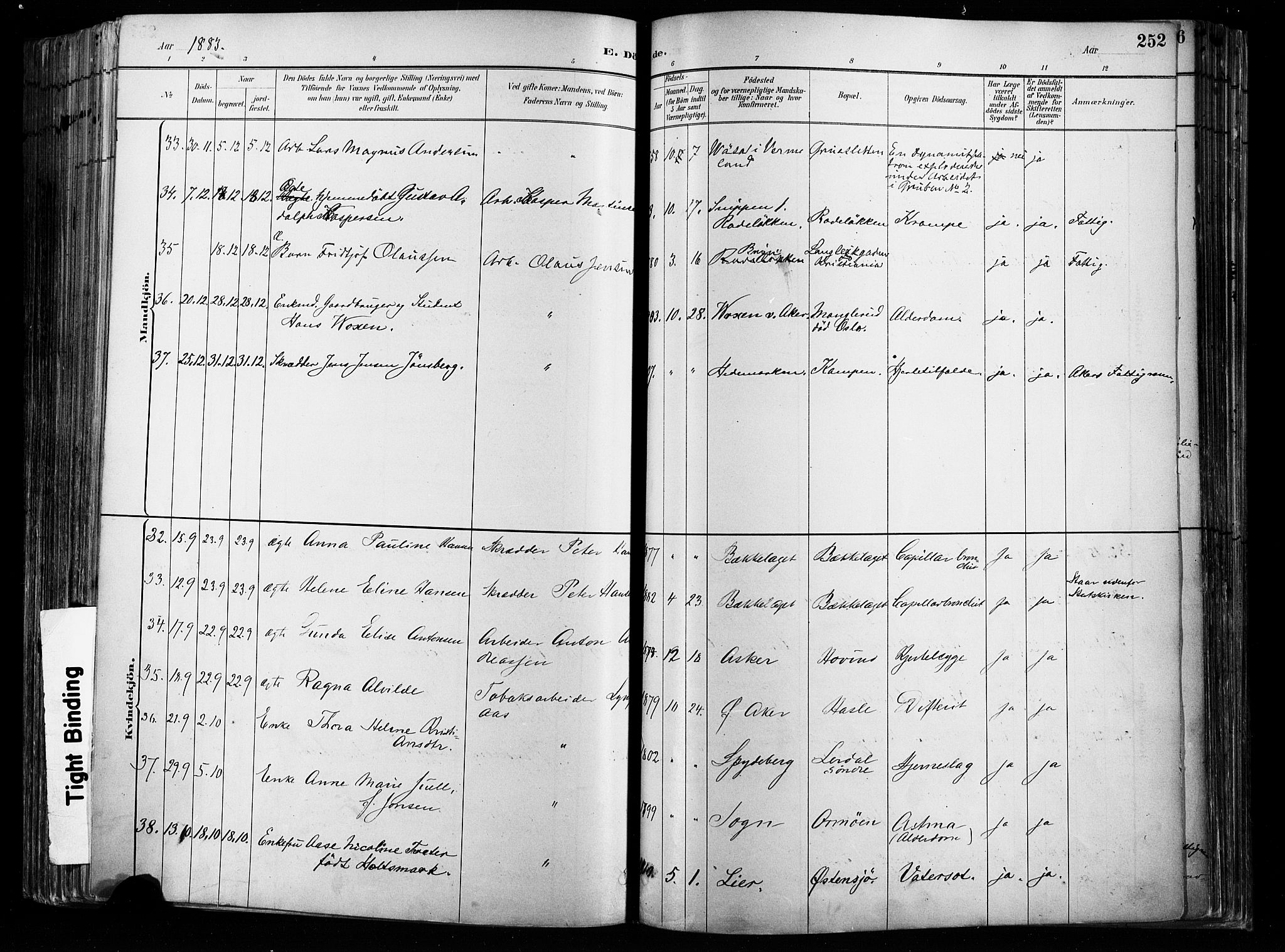 Østre Aker prestekontor Kirkebøker, AV/SAO-A-10840/F/Fa/L0008: Parish register (official) no. I 8, 1883-1894, p. 252