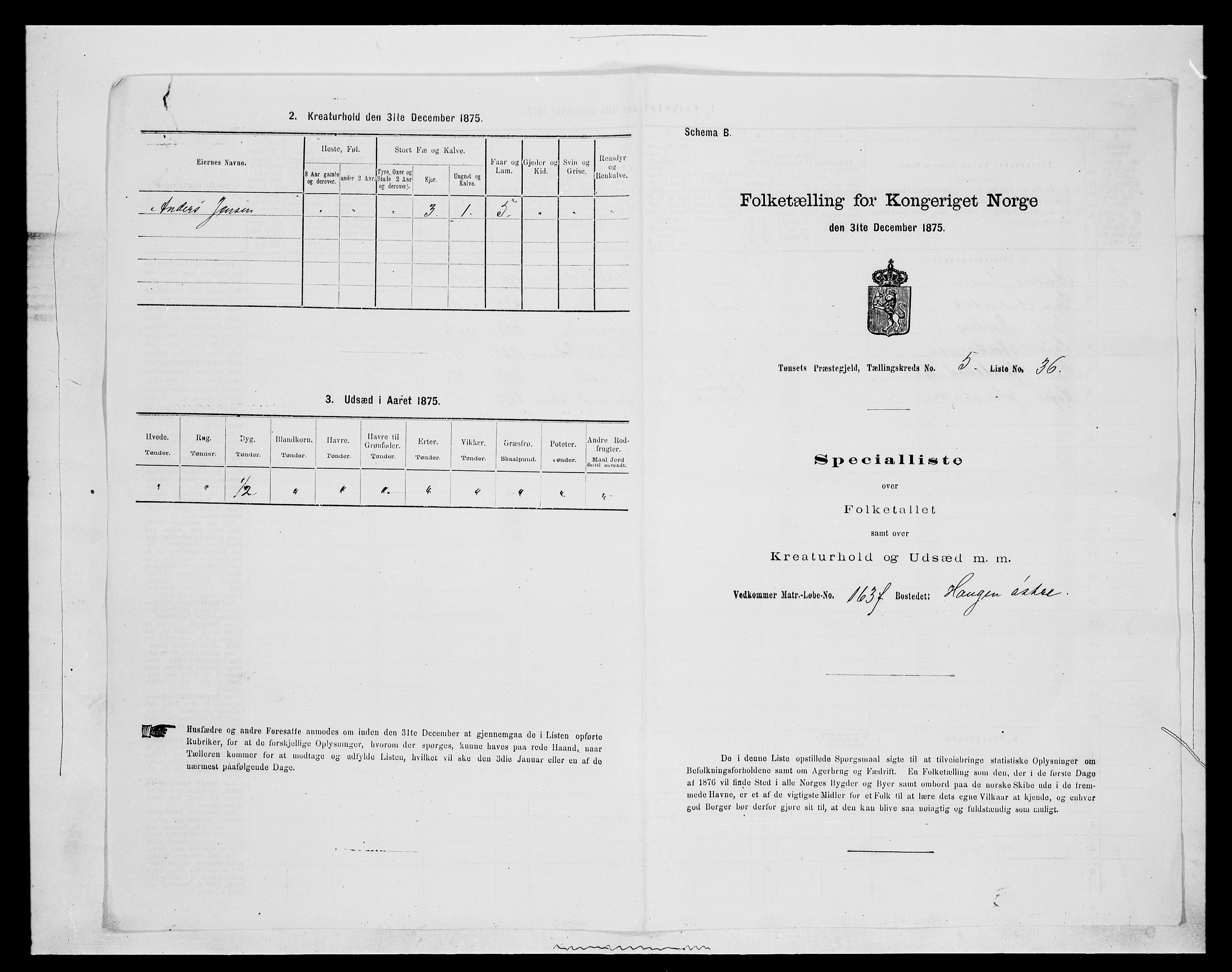SAH, 1875 census for 0437P Tynset, 1875, p. 635