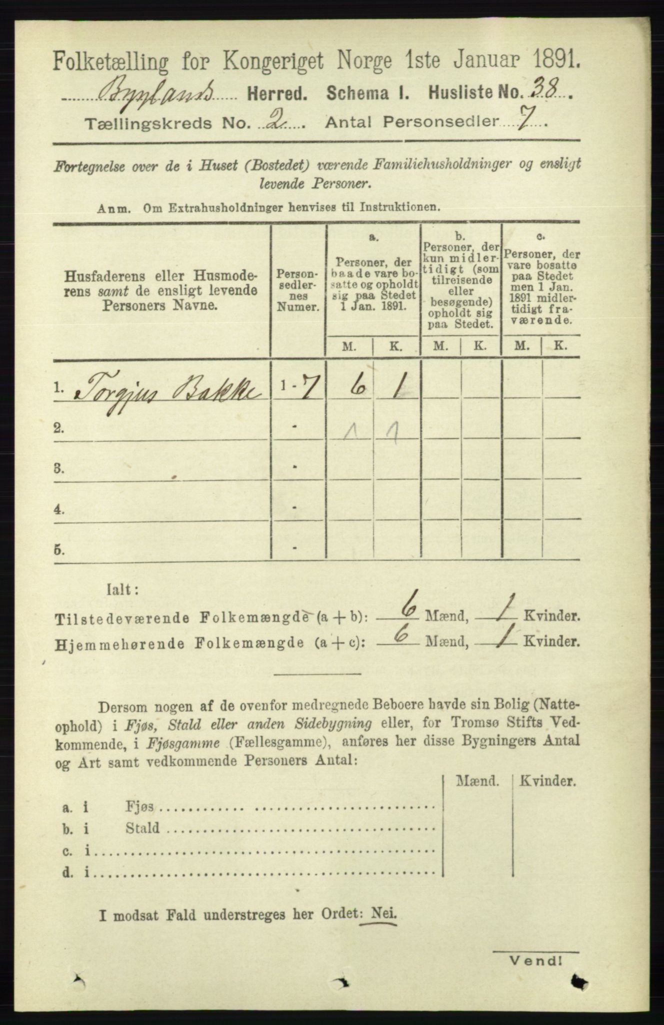 RA, 1891 census for 0938 Bygland, 1891, p. 251