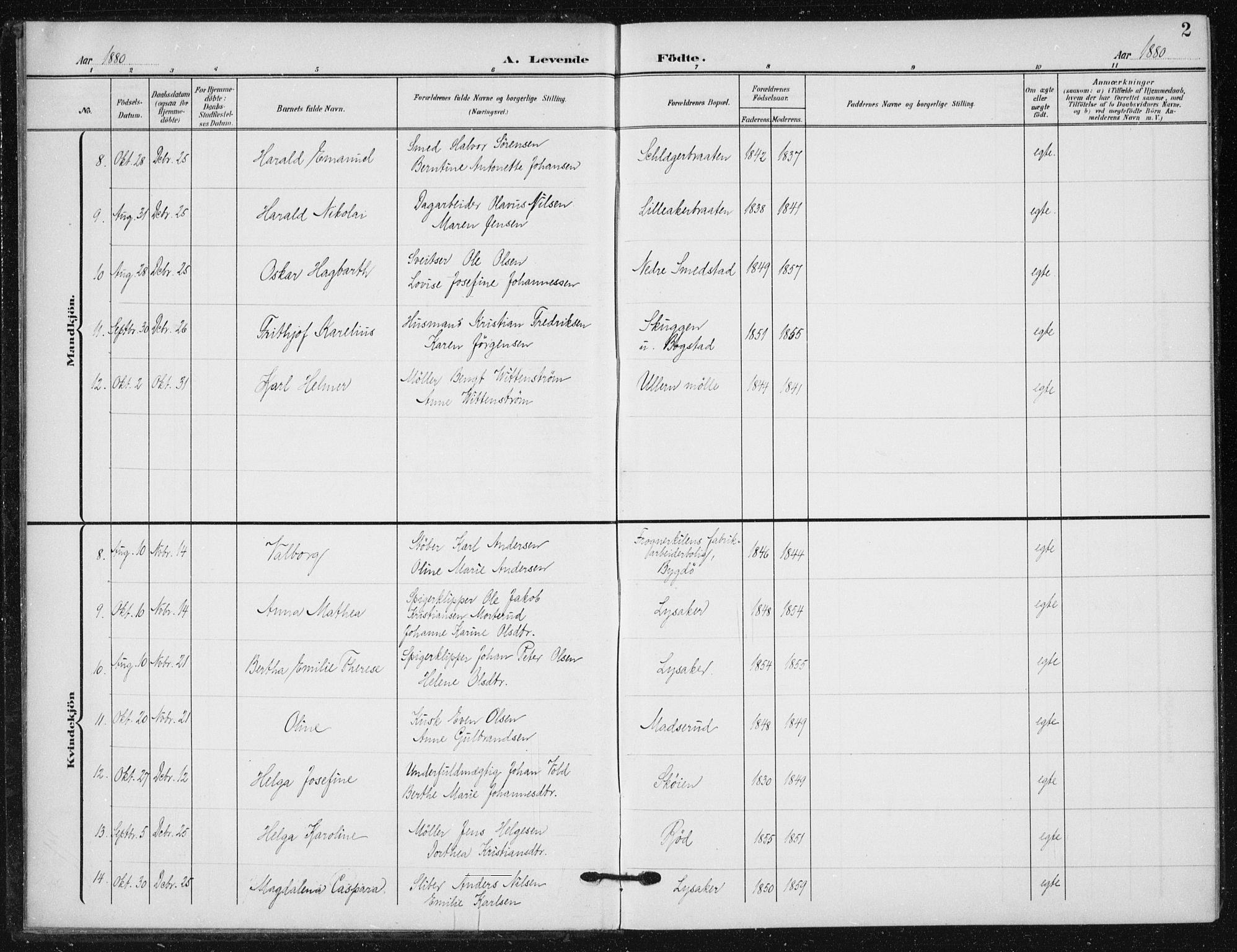 Vestre Aker prestekontor Kirkebøker, SAO/A-10025/F/Fb/L0001: Parish register (official) no. II 1, 1880-1906, p. 2