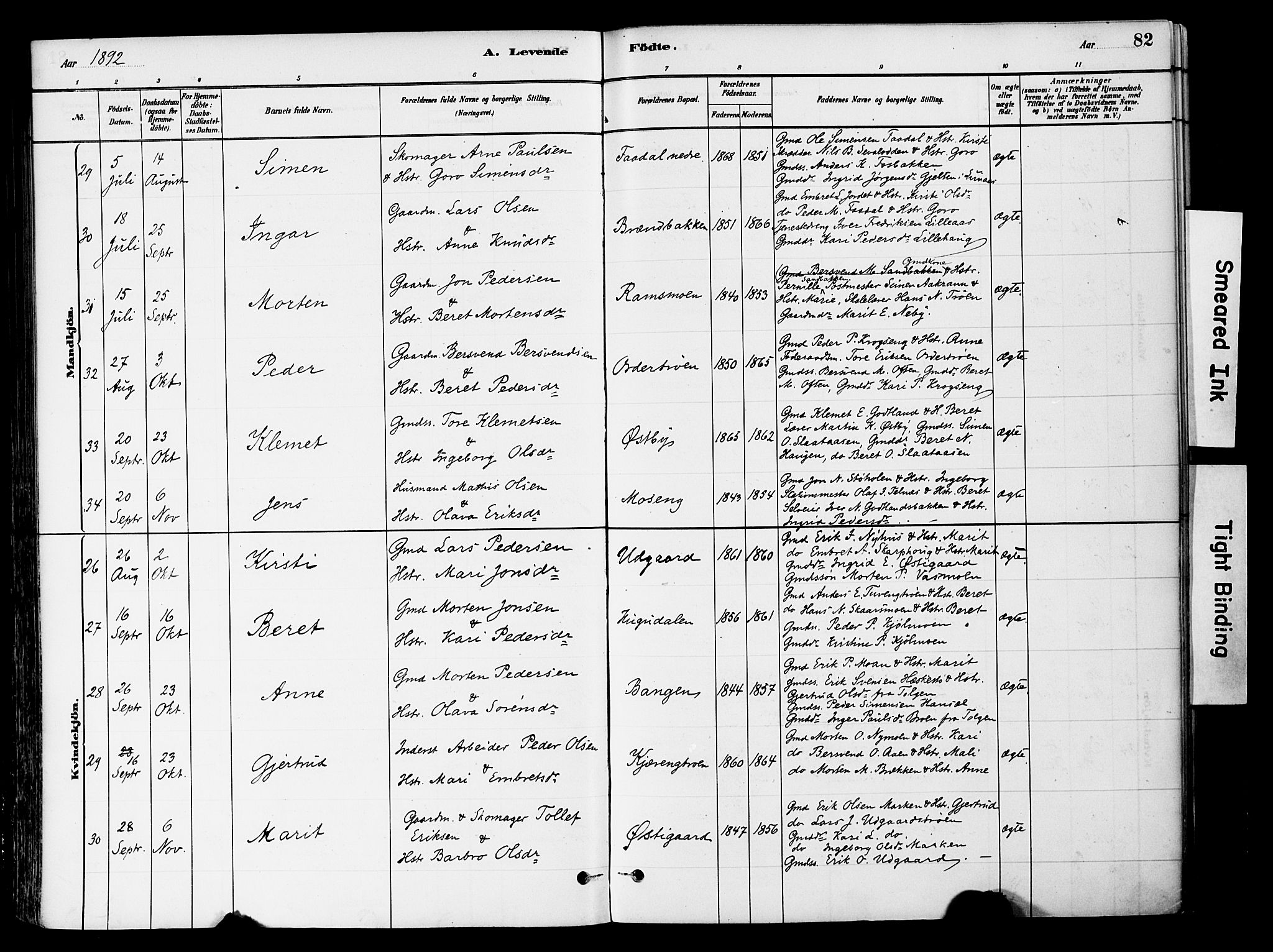 Tynset prestekontor, SAH/PREST-058/H/Ha/Haa/L0022: Parish register (official) no. 22, 1880-1899, p. 82