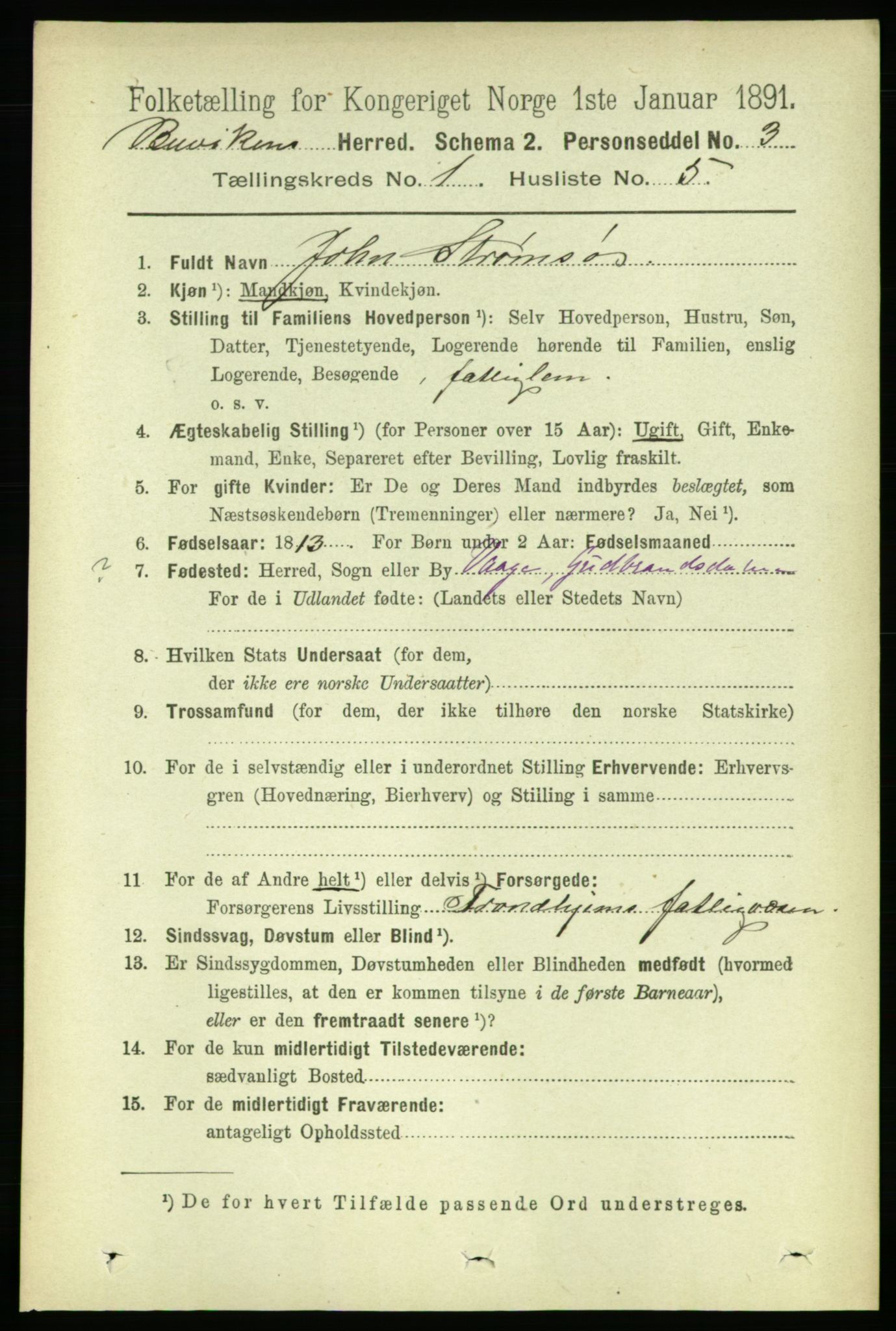 RA, 1891 census for 1656 Buvik, 1891, p. 124