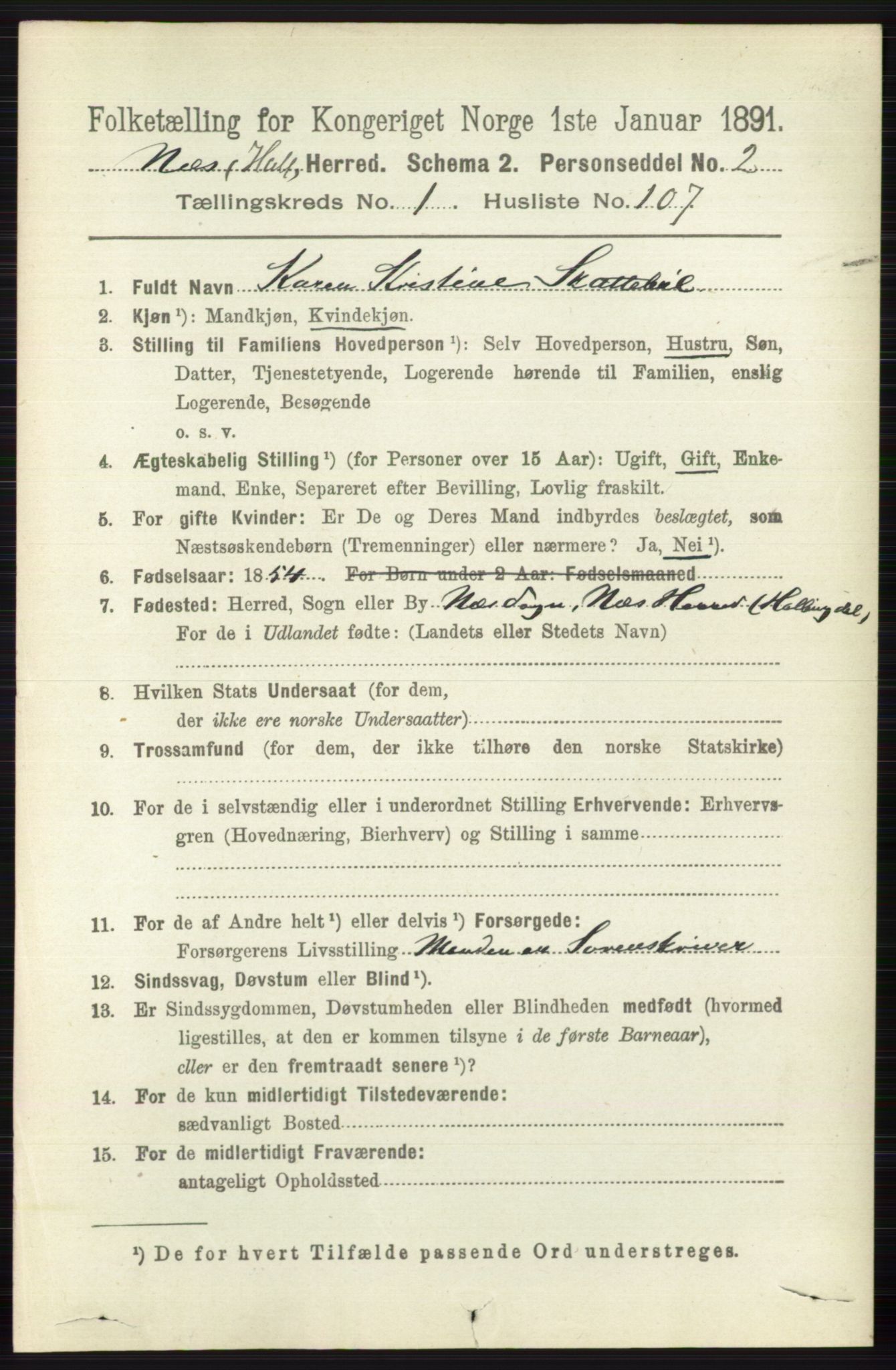 RA, 1891 census for 0616 Nes, 1891, p. 758