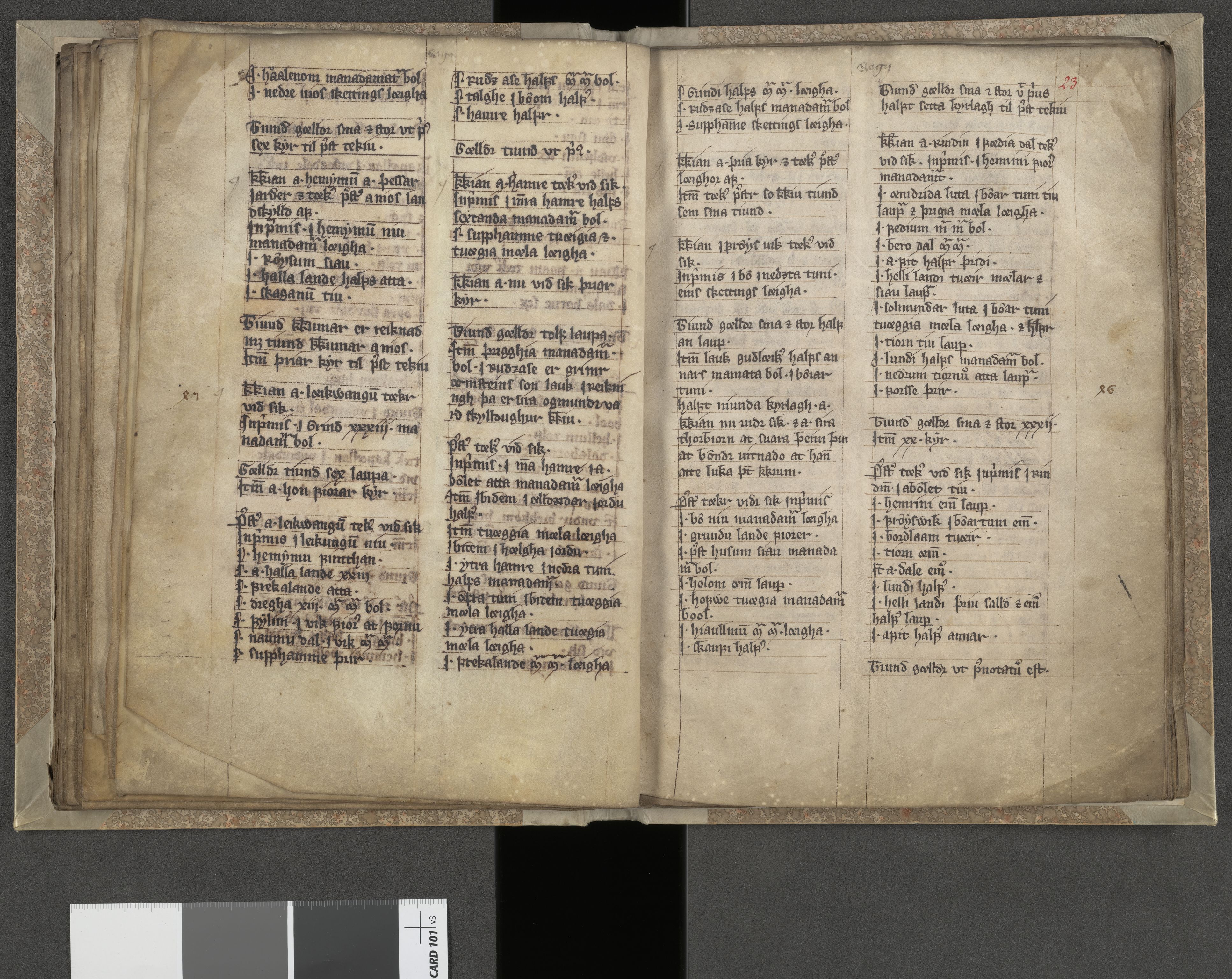Riksarkivets diplomsamling, AV/RA-EA-5965/F05/L0243: NRA AM 329 fol., 1310-1360, p. 22b-23a