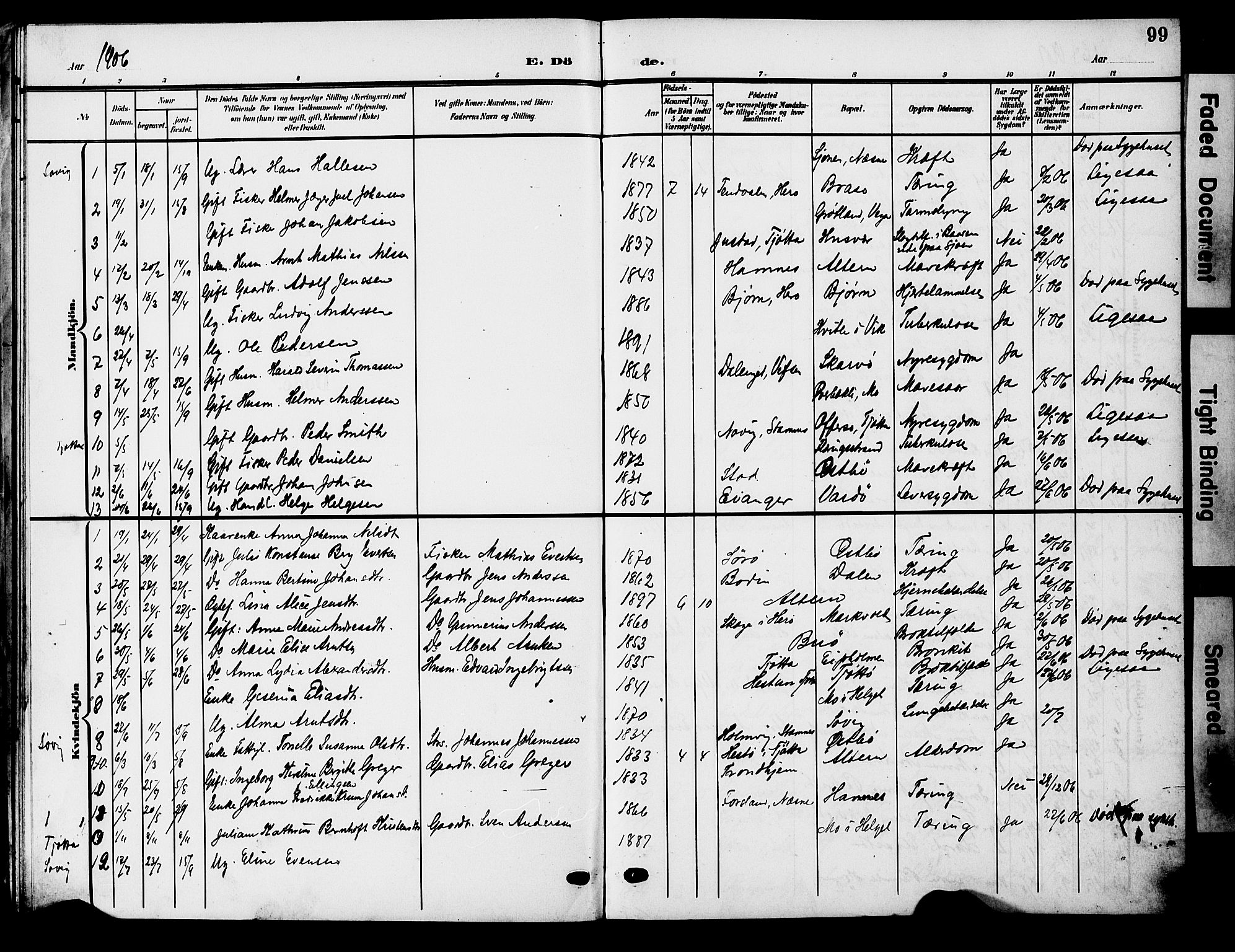 Ministerialprotokoller, klokkerbøker og fødselsregistre - Nordland, AV/SAT-A-1459/830/L0464: Parish register (copy) no. 830C06, 1906-1925, p. 99