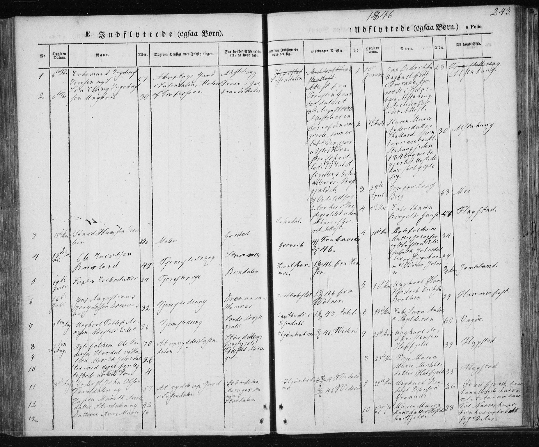 Ministerialprotokoller, klokkerbøker og fødselsregistre - Nordland, SAT/A-1459/820/L0291: Parish register (official) no. 820A12, 1846-1854, p. 243