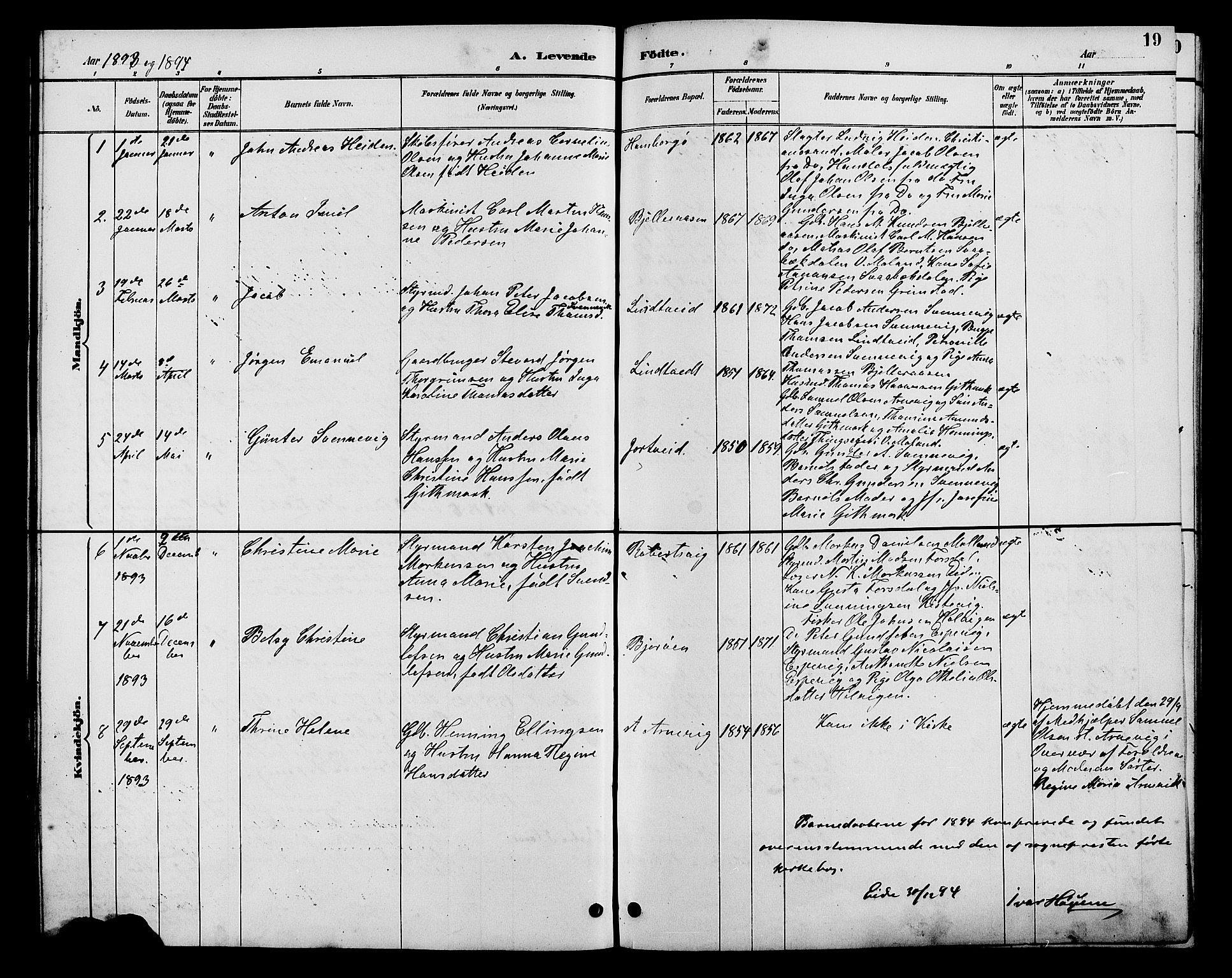 Hommedal sokneprestkontor, AV/SAK-1111-0023/F/Fb/Fba/L0004: Parish register (copy) no. B 4, 1885-1908, p. 19