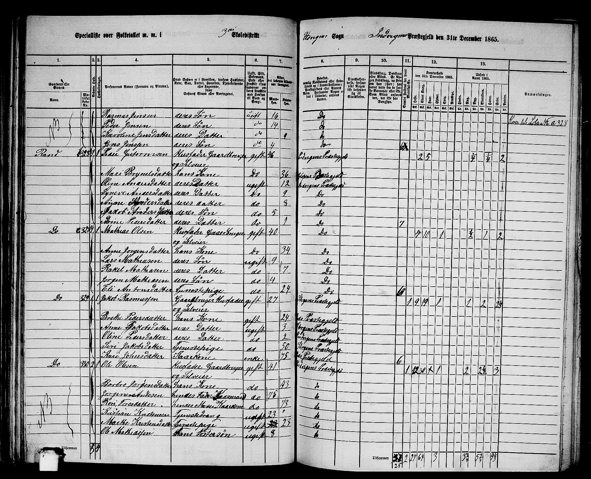 RA, 1865 census for Innvik, 1865, p. 53