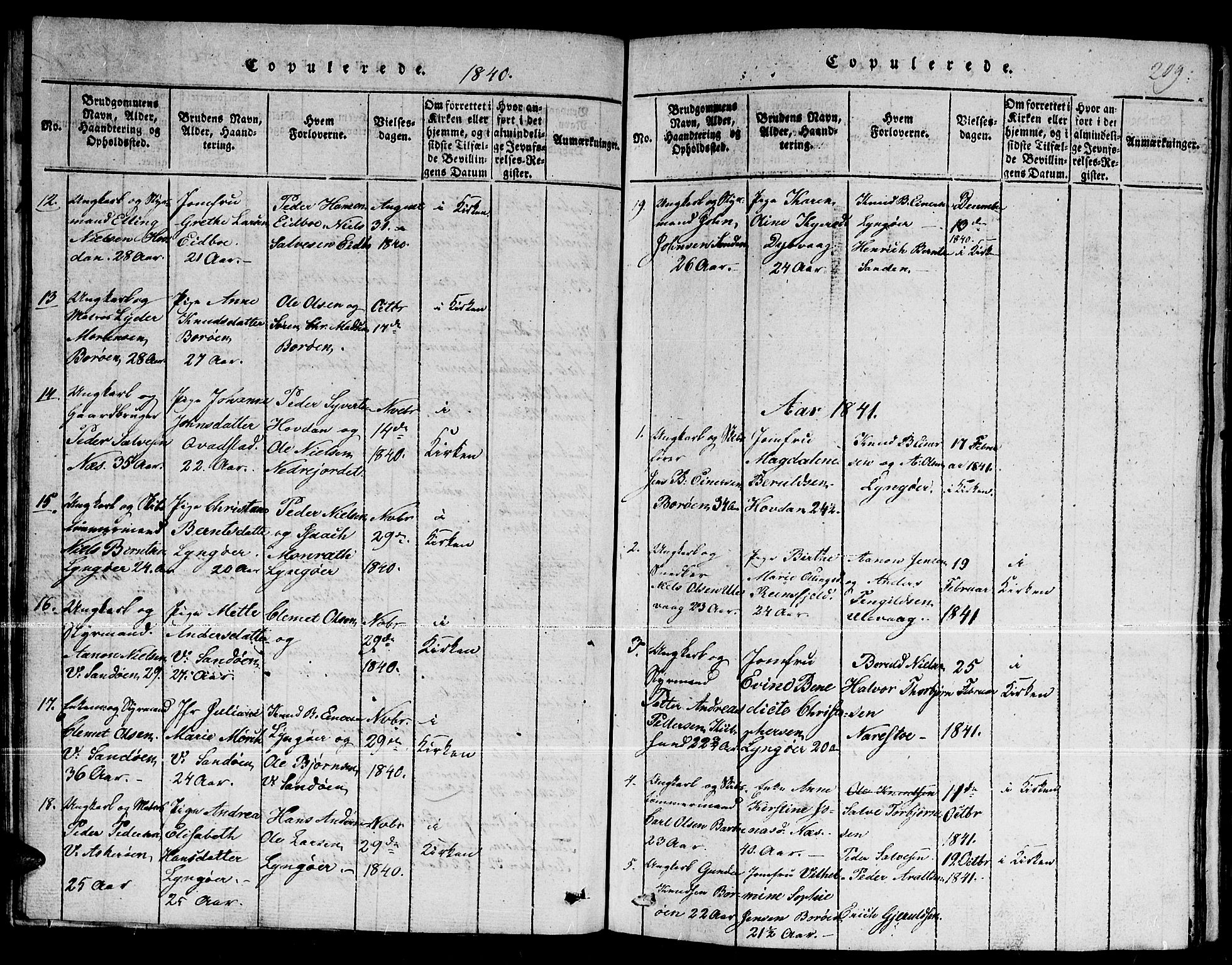 Dypvåg sokneprestkontor, SAK/1111-0007/F/Fb/Fba/L0009: Parish register (copy) no. B 9, 1816-1842, p. 209