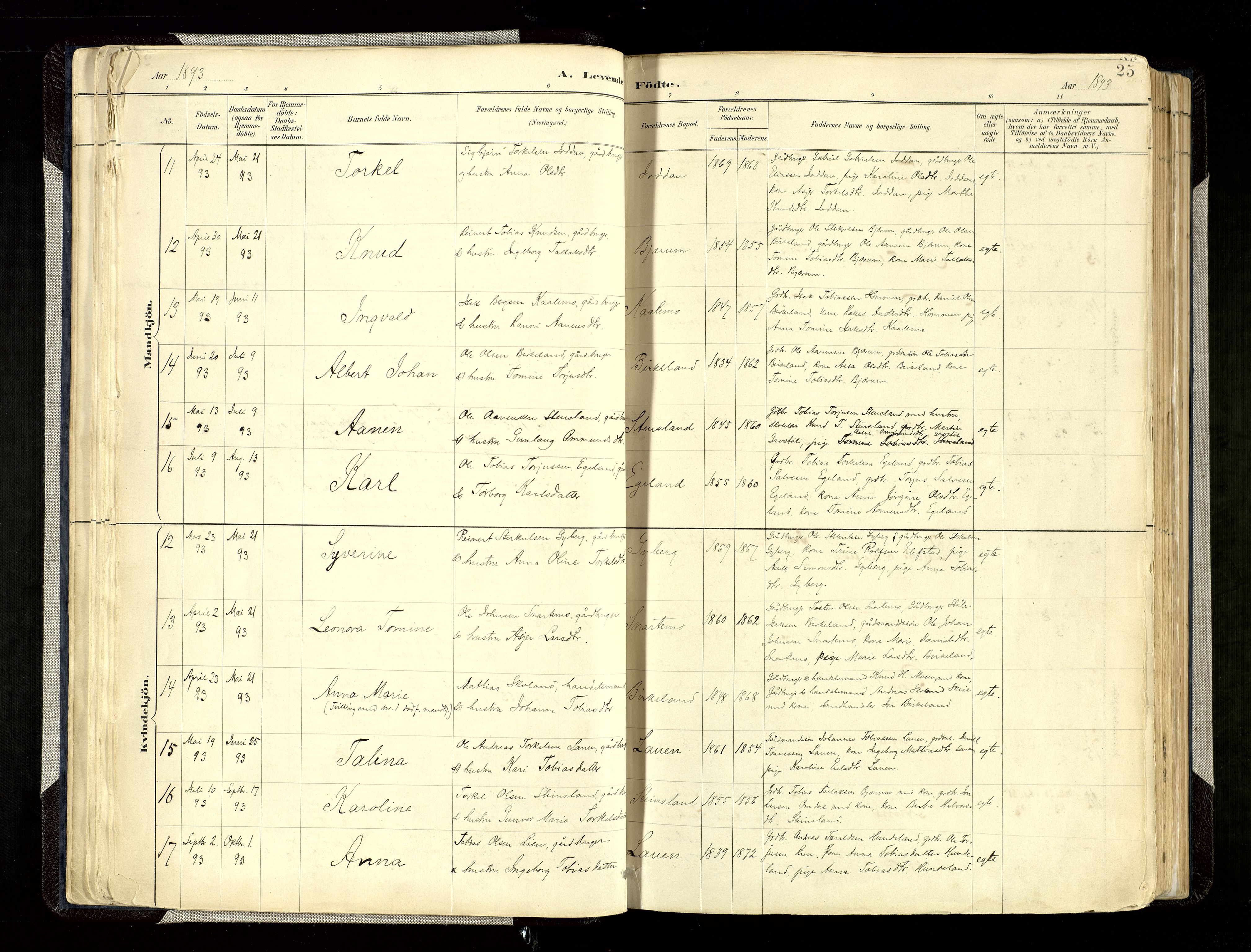 Hægebostad sokneprestkontor, AV/SAK-1111-0024/F/Fa/Faa/L0006: Parish register (official) no. A 6, 1887-1929, p. 25