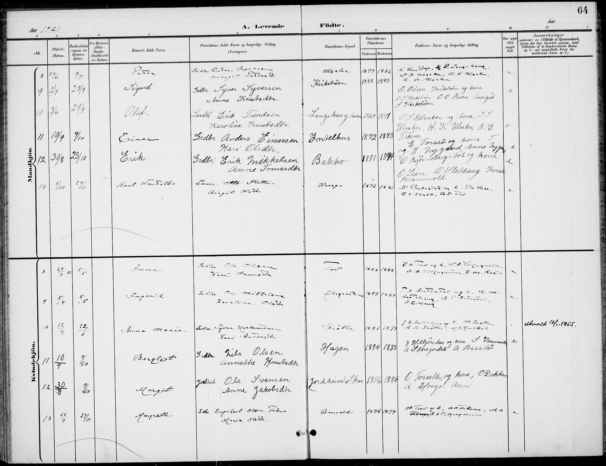 Gol kirkebøker, AV/SAKO-A-226/F/Fb/L0002: Parish register (official) no. II 2, 1900-1921, p. 64