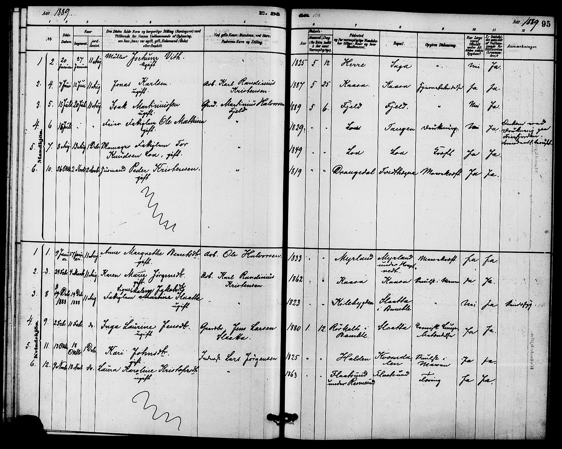 Solum kirkebøker, SAKO/A-306/F/Fc/L0001: Parish register (official) no. III 1, 1877-1891, p. 95