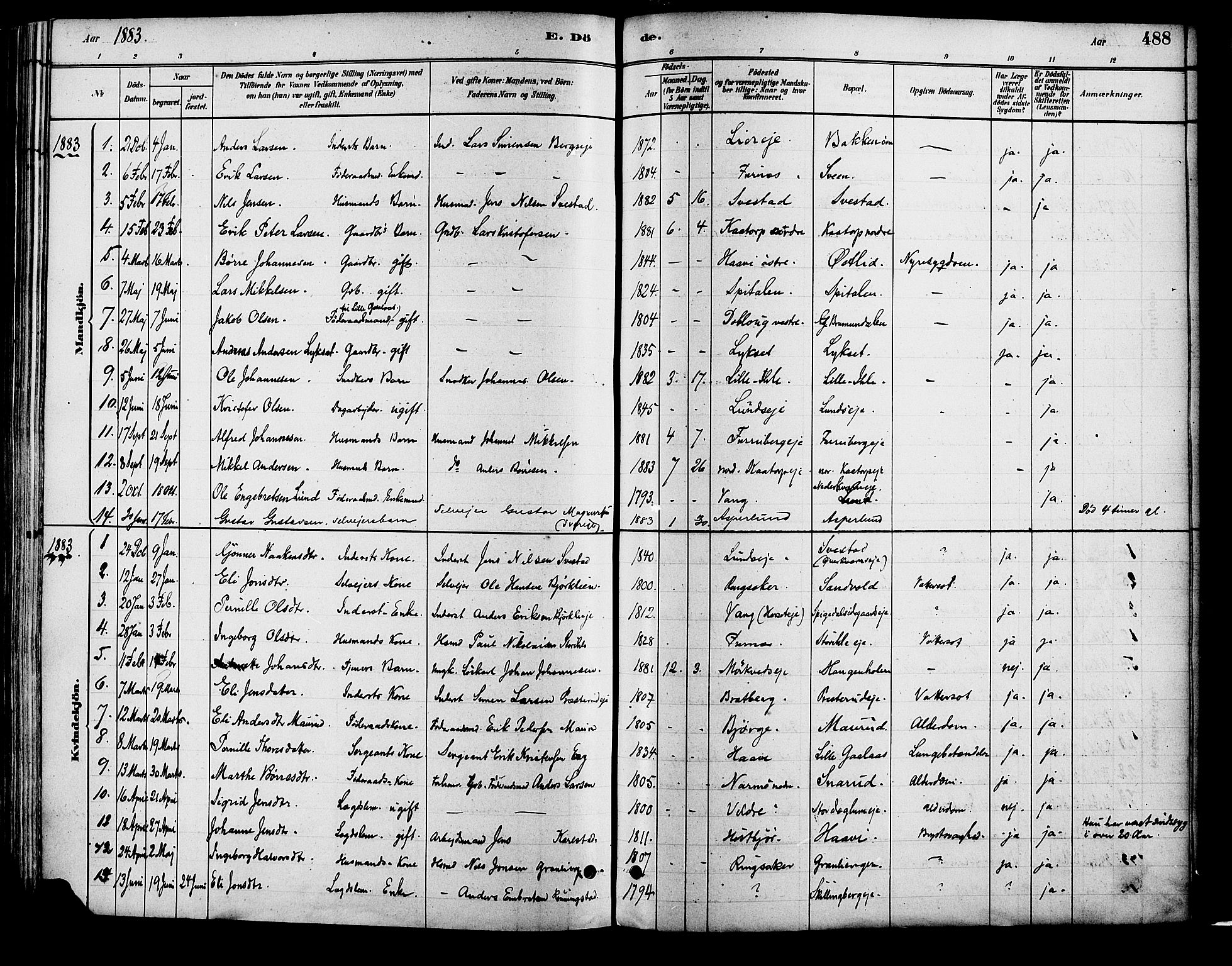 Vang prestekontor, Hedmark, SAH/PREST-008/H/Ha/Haa/L0018B: Parish register (official) no. 18B, 1880-1906, p. 488