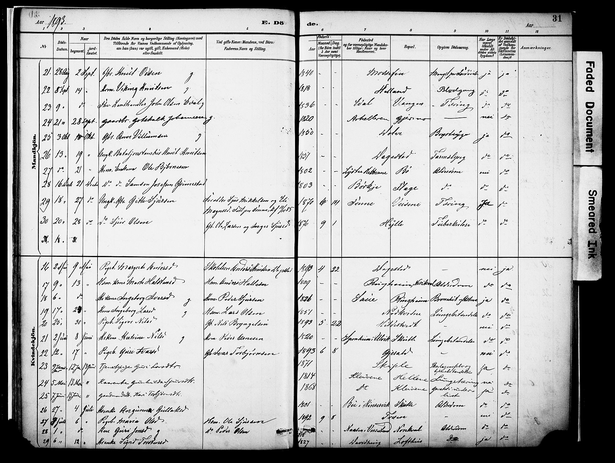 Voss sokneprestembete, AV/SAB-A-79001/H/Haa: Parish register (official) no. A 22, 1887-1909, p. 31