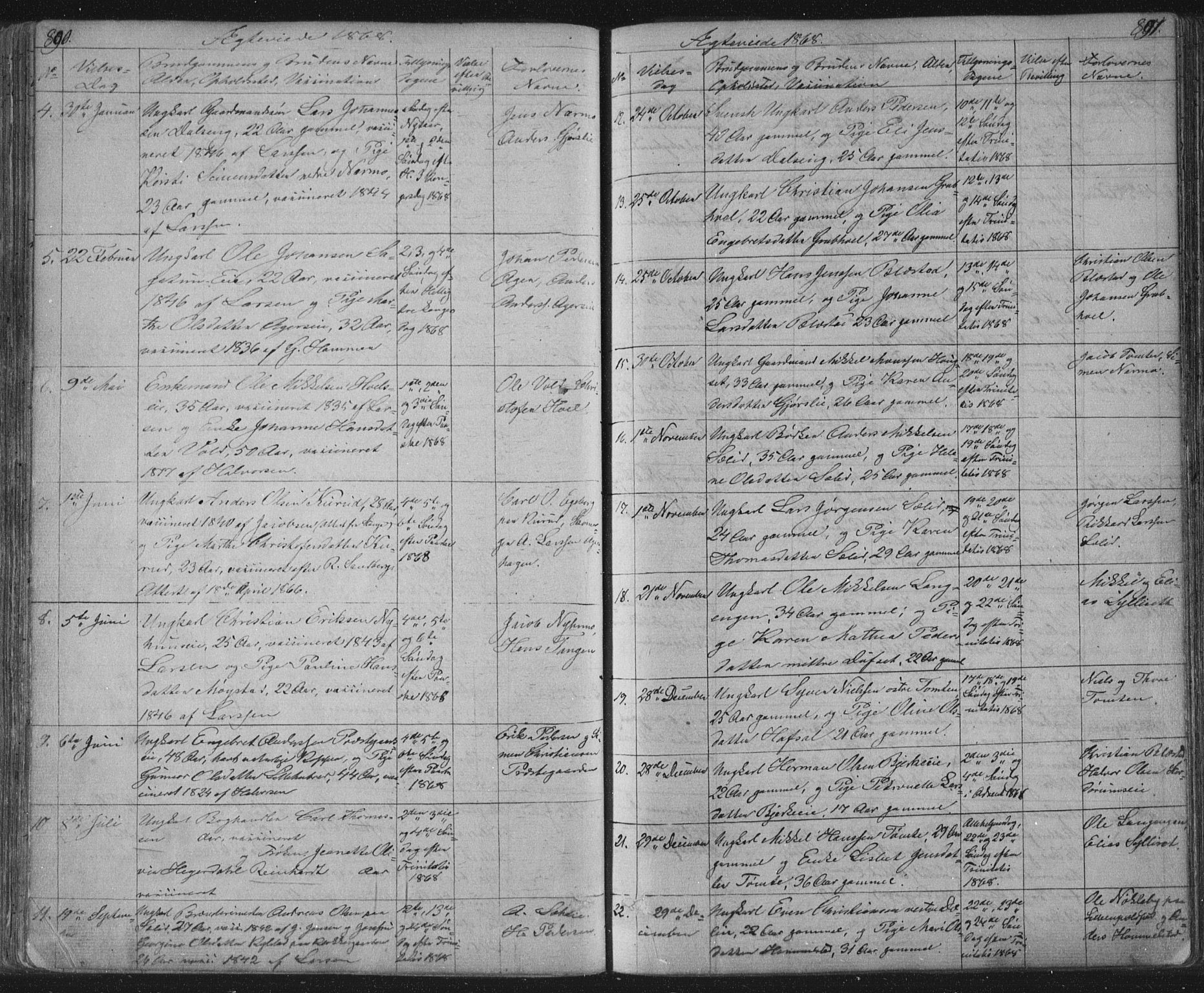 Vang prestekontor, Hedmark, SAH/PREST-008/H/Ha/Hab/L0010B: Parish register (copy) no. 10b, 1854-1896, p. 890-891