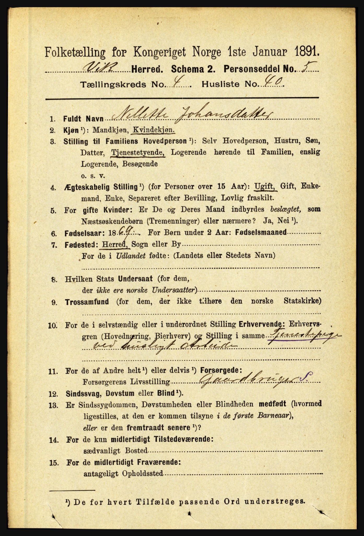 RA, 1891 census for 1417 Vik, 1891, p. 2022