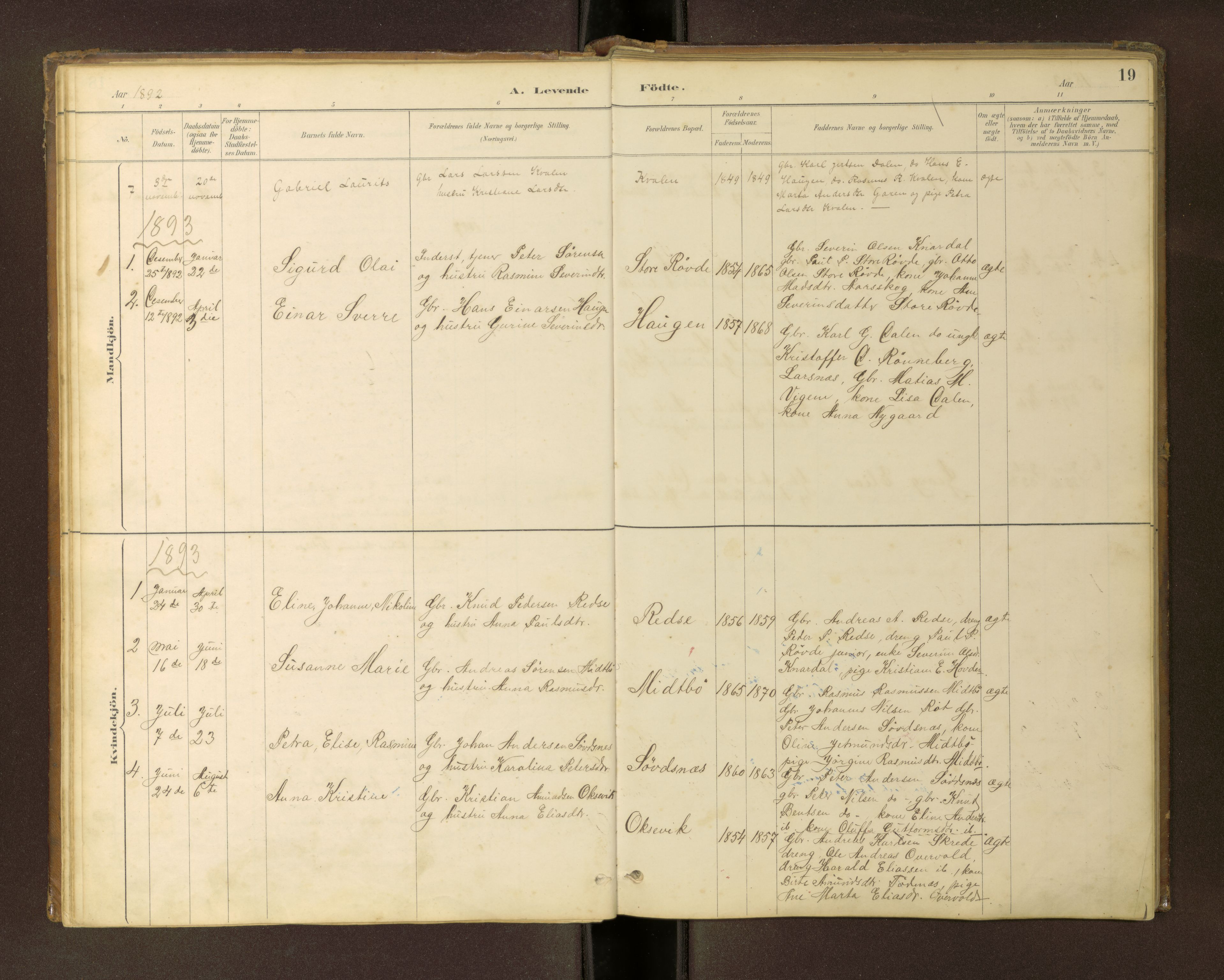 Ministerialprotokoller, klokkerbøker og fødselsregistre - Møre og Romsdal, AV/SAT-A-1454/504/L0060: Parish register (copy) no. 504C02, 1884-1903, p. 19