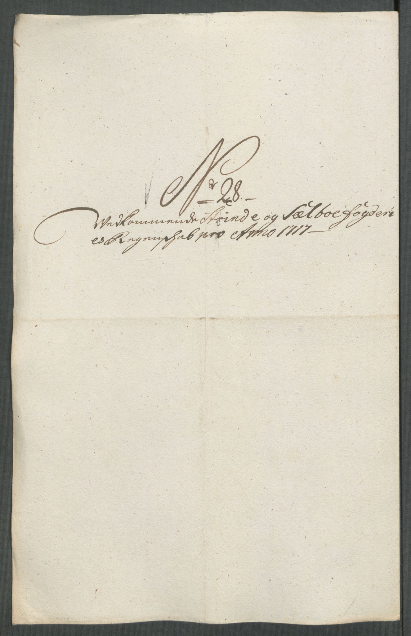 Rentekammeret inntil 1814, Reviderte regnskaper, Fogderegnskap, AV/RA-EA-4092/R61/L4116: Fogderegnskap Strinda og Selbu, 1717-1718, p. 213