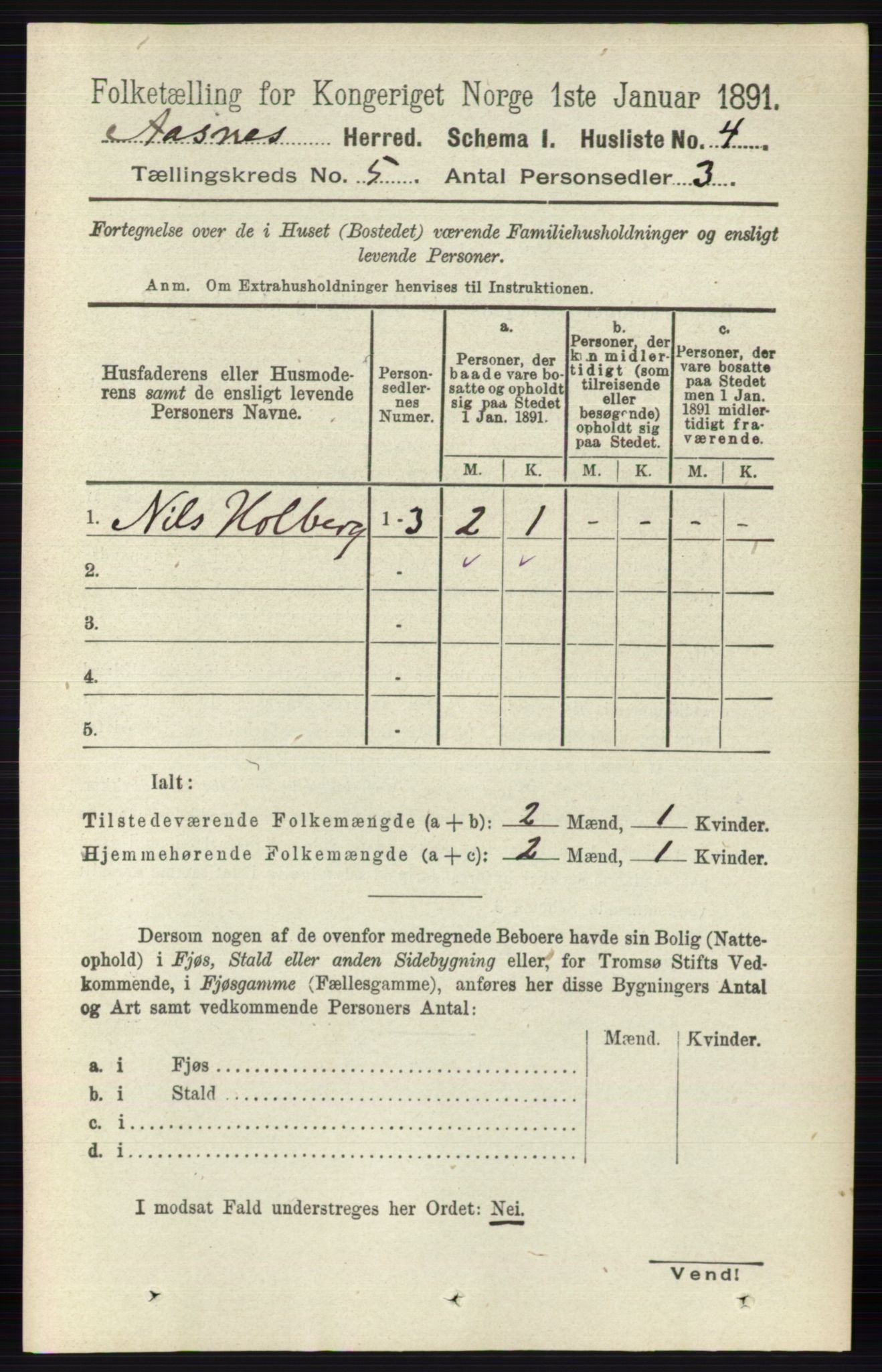 RA, 1891 census for 0425 Åsnes, 1891, p. 2378